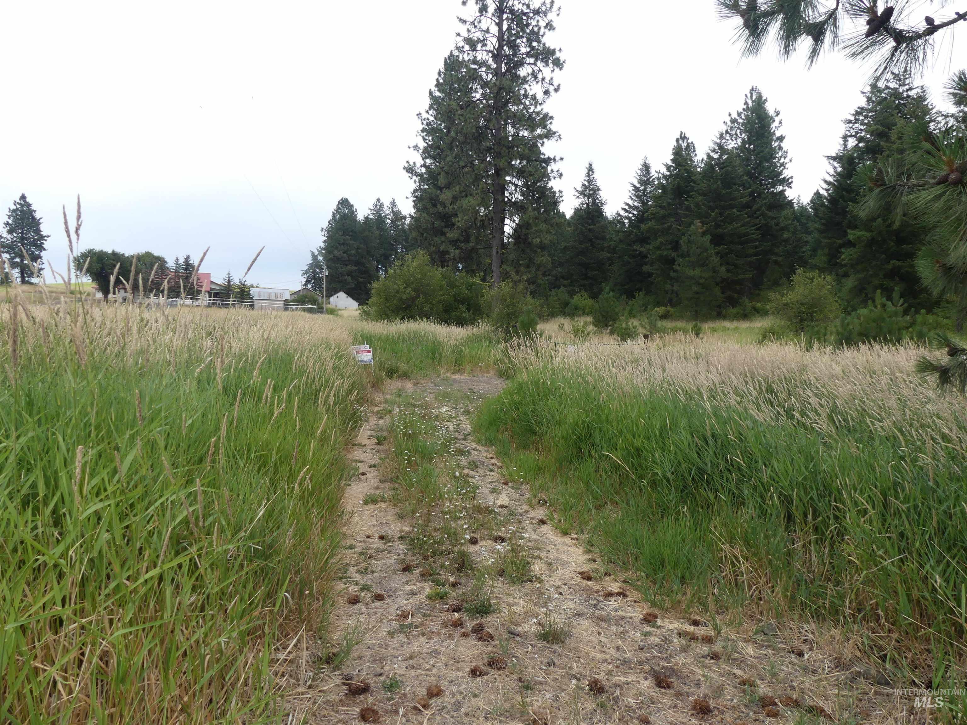 506 Devils Elbow Drive, Lenore, Idaho 83541, Land For Sale, Price $350,000, 98941221