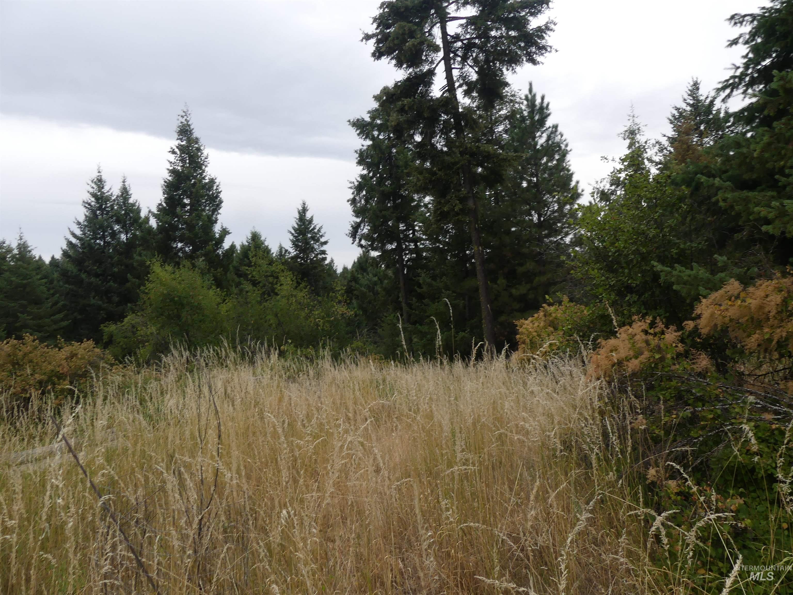 506 Devils Elbow Drive, Lenore, Idaho 83541, Land For Sale, Price $350,000, 98941221