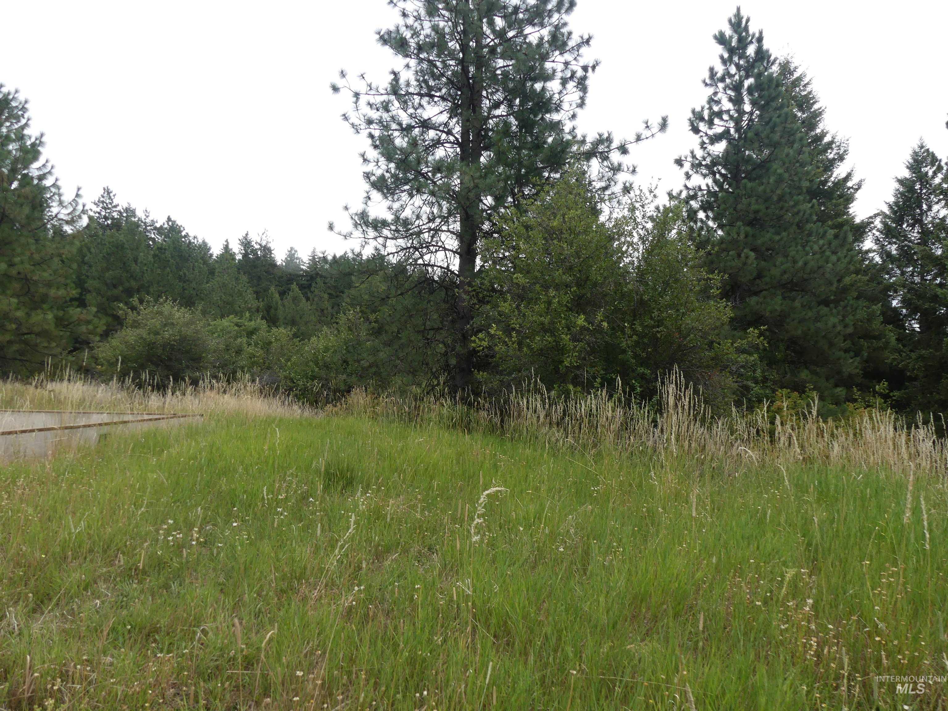 506 Devils Elbow Drive, Lenore, Idaho 83541, Land For Sale, Price $350,000, 98941221