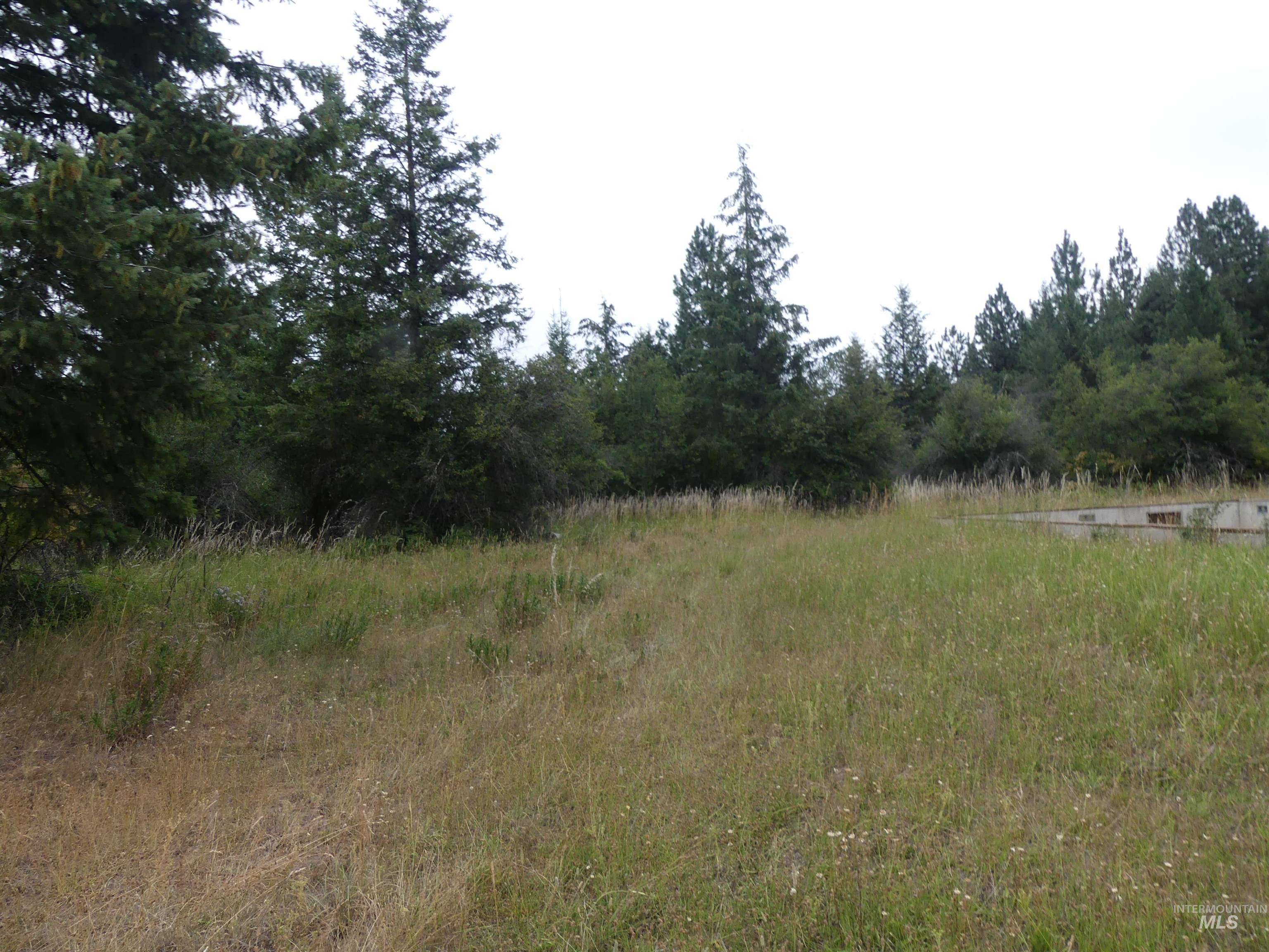 506 Devils Elbow Drive, Lenore, Idaho 83541, Land For Sale, Price $350,000, 98941221