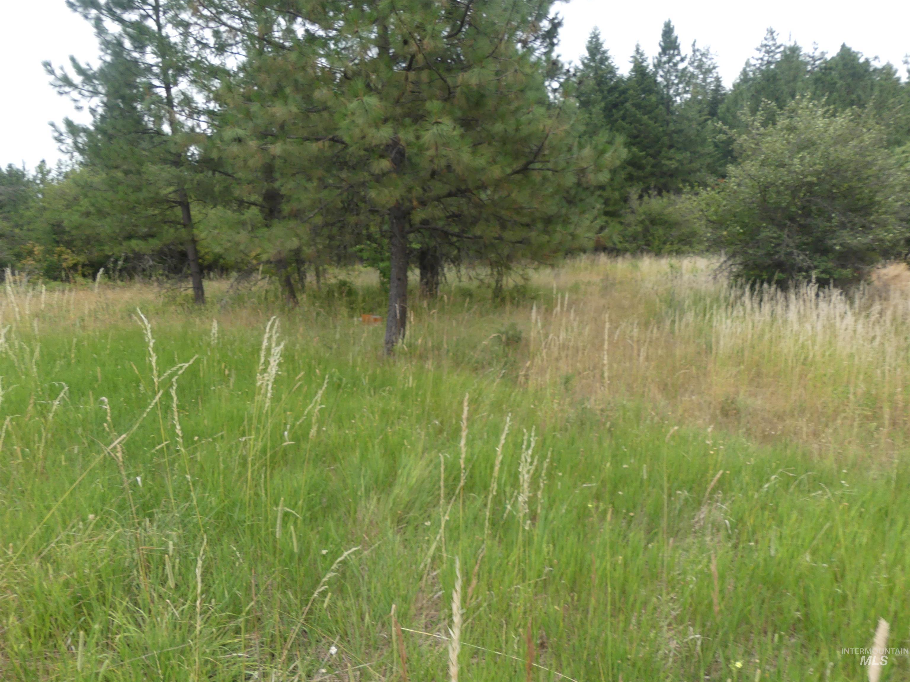 506 Devils Elbow Drive, Lenore, Idaho 83541, Land For Sale, Price $350,000, 98941221