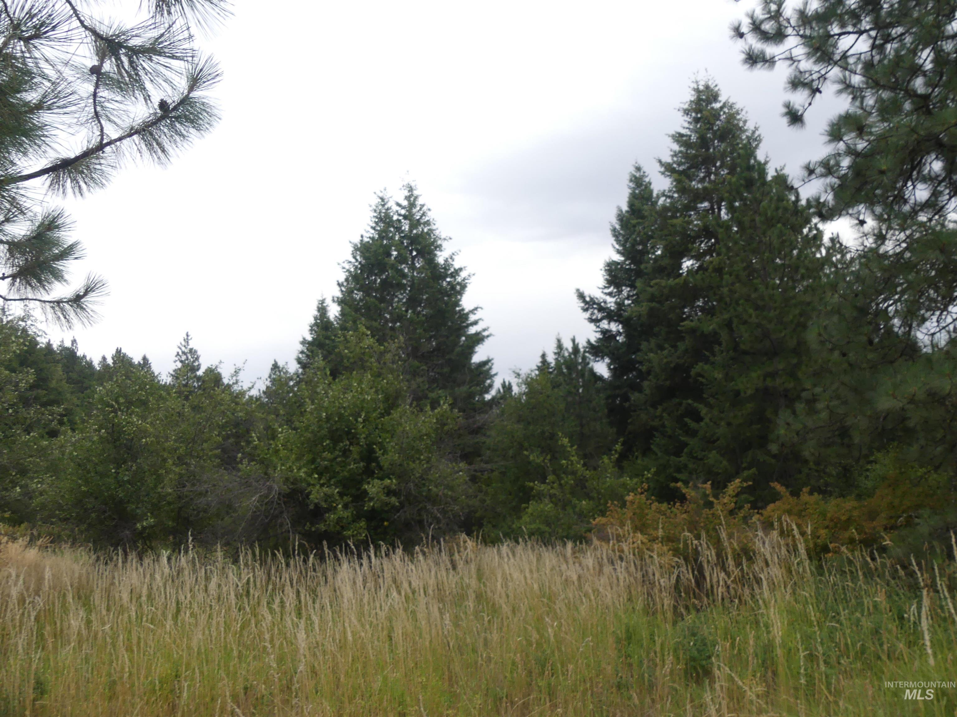 506 Devils Elbow Drive, Lenore, Idaho 83541, Land For Sale, Price $350,000, 98941221