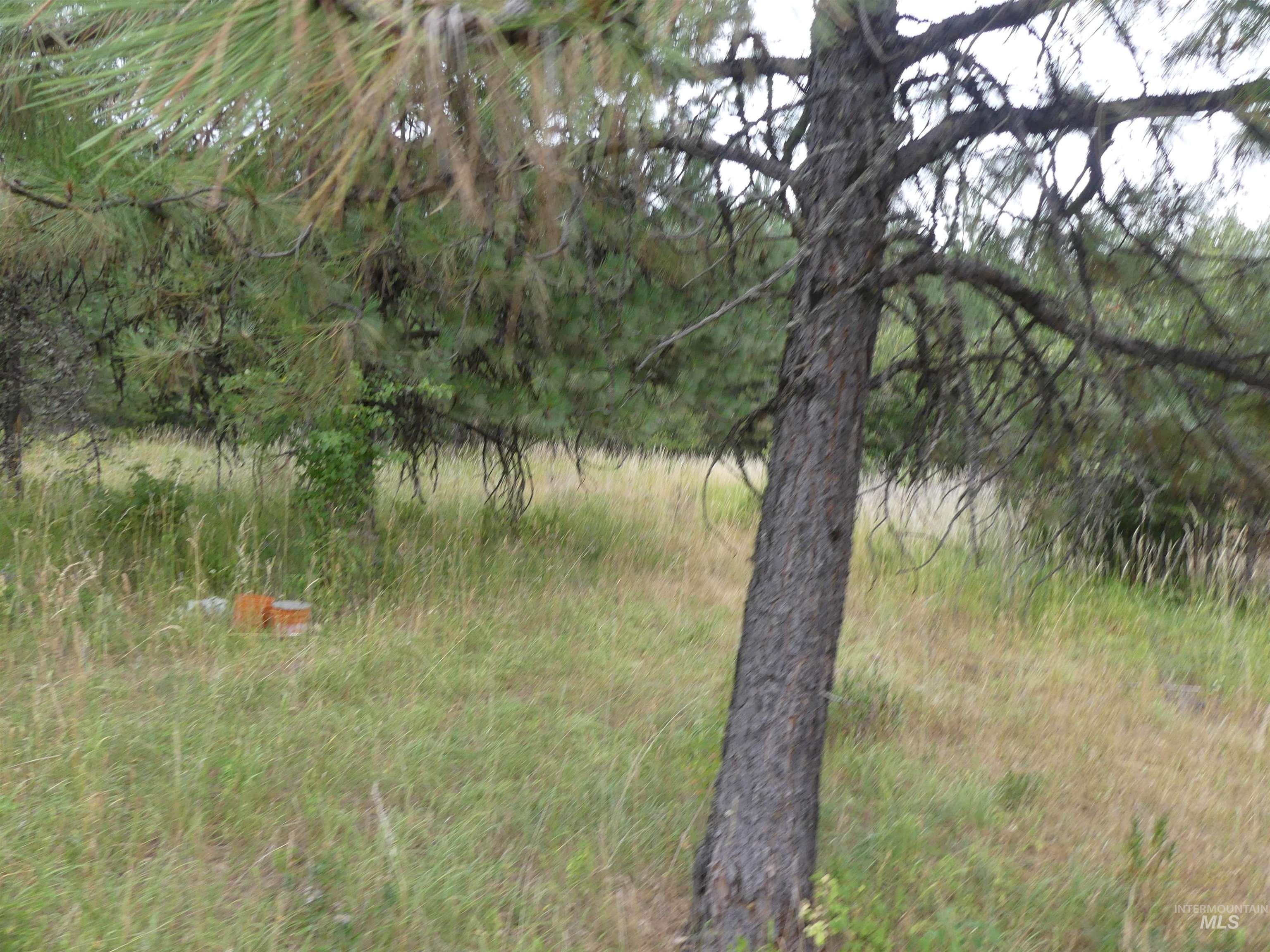 506 Devils Elbow Drive, Lenore, Idaho 83541, Land For Sale, Price $350,000, 98941221