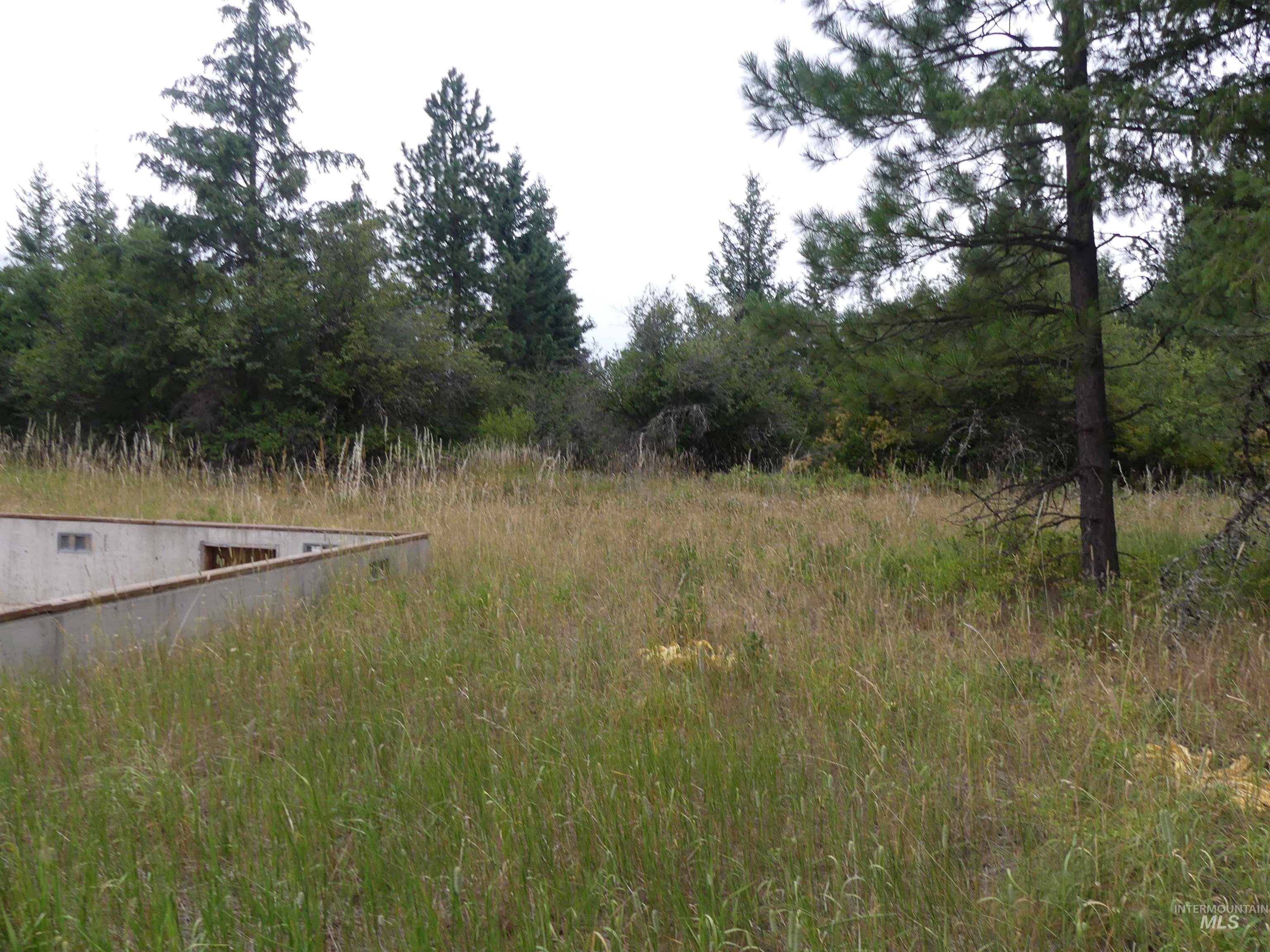 506 Devils Elbow Drive, Lenore, Idaho 83541, Land For Sale, Price $350,000, 98941221