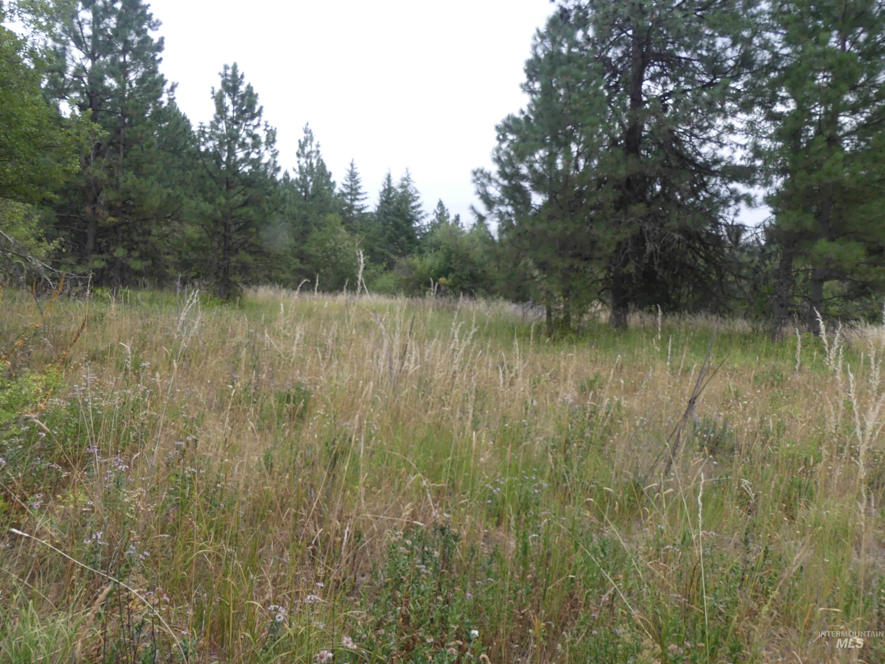 506 Devils Elbow Drive, Lenore, Idaho 83541, Land For Sale, Price $350,000, 98941221