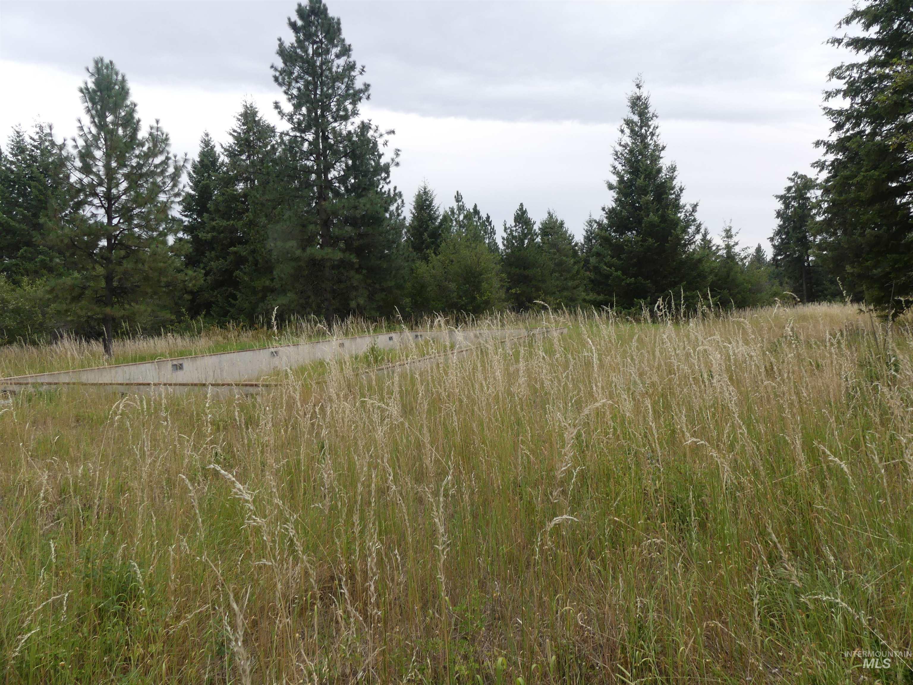 506 Devils Elbow Drive, Lenore, Idaho 83541, Land For Sale, Price $350,000, 98941221