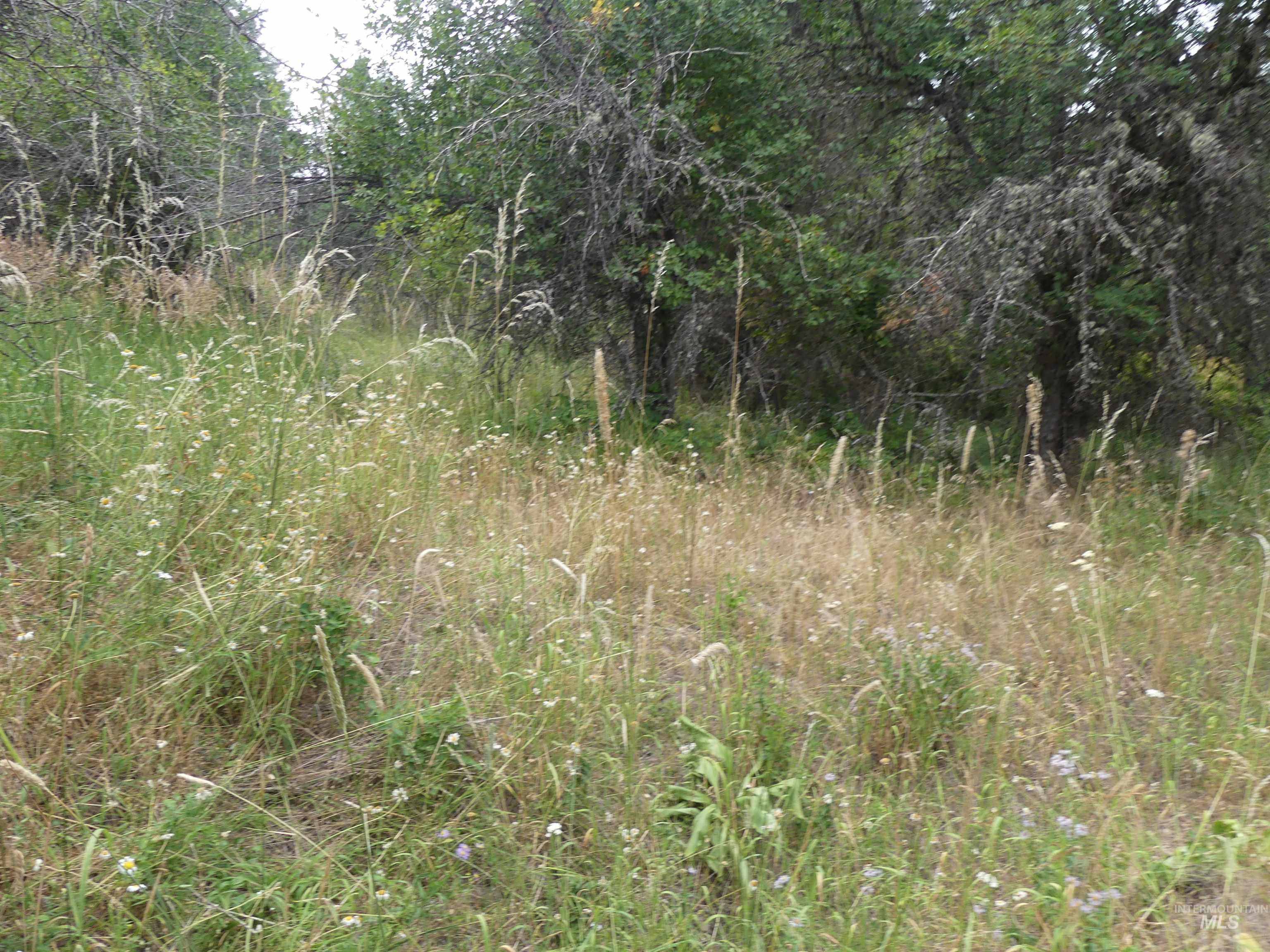 506 Devils Elbow Drive, Lenore, Idaho 83541, Land For Sale, Price $350,000, 98941221