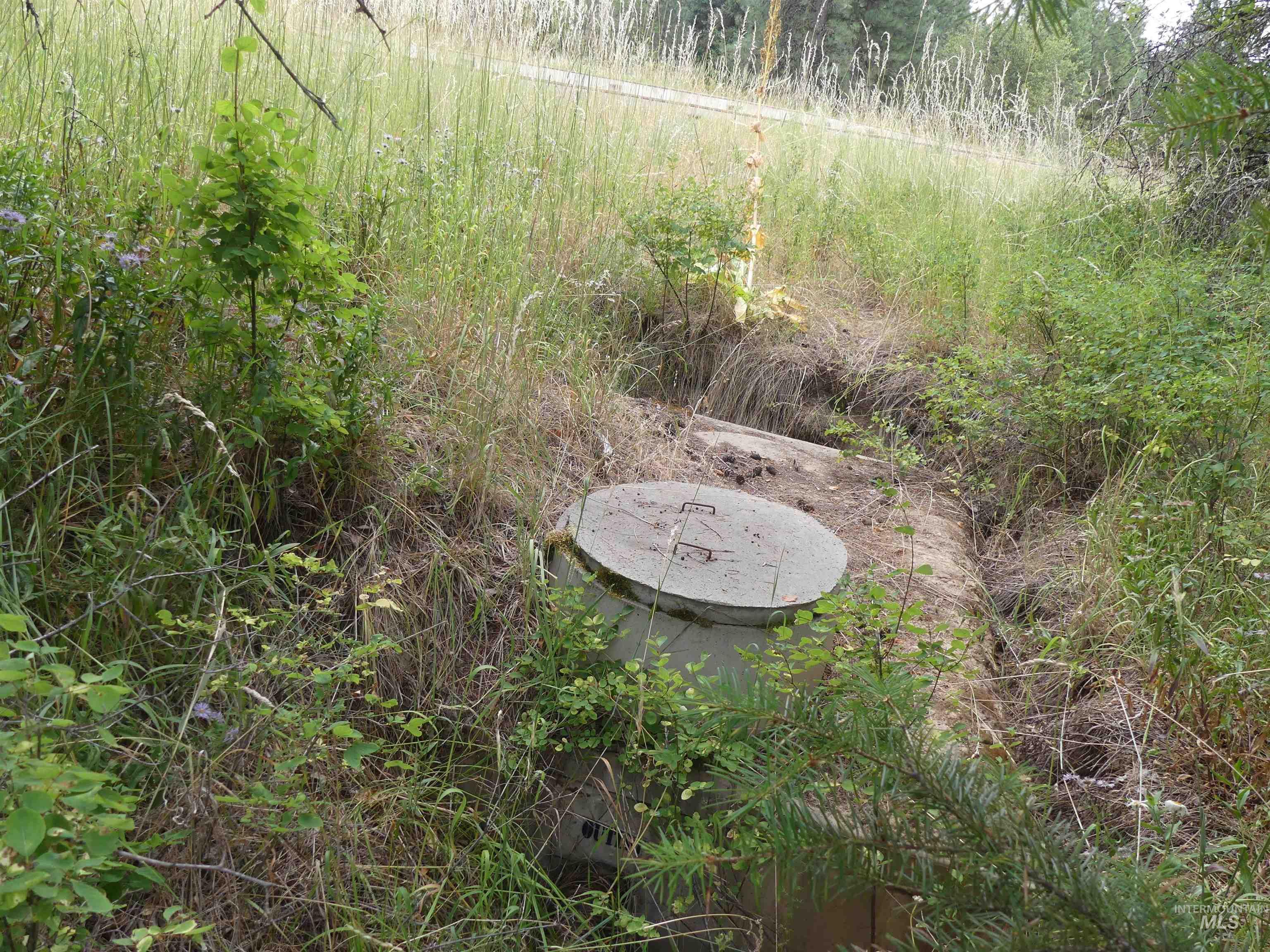 506 Devils Elbow Drive, Lenore, Idaho 83541, Land For Sale, Price $350,000, 98941221