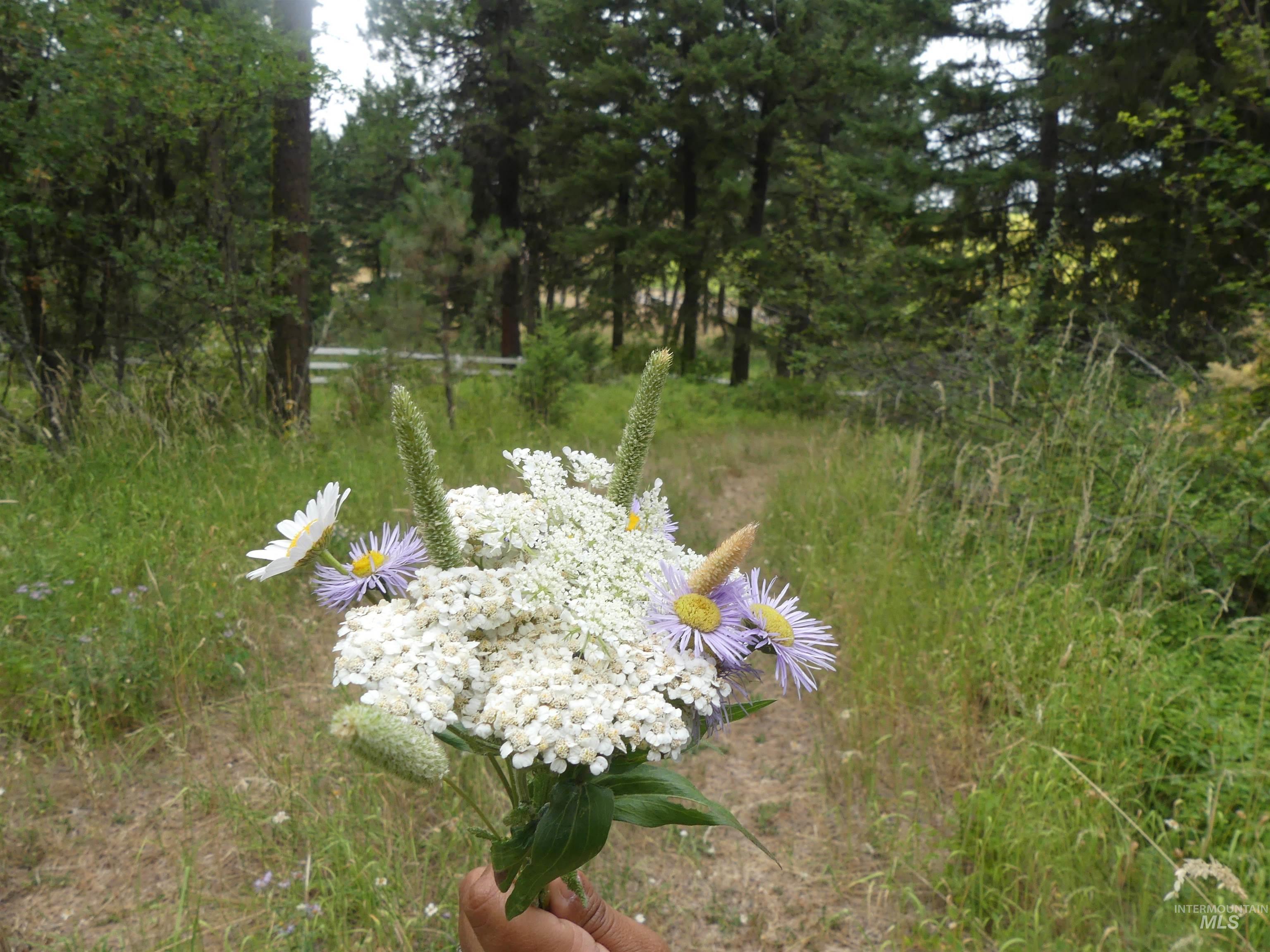 506 Devils Elbow Drive, Lenore, Idaho 83541, Land For Sale, Price $350,000, 98941221