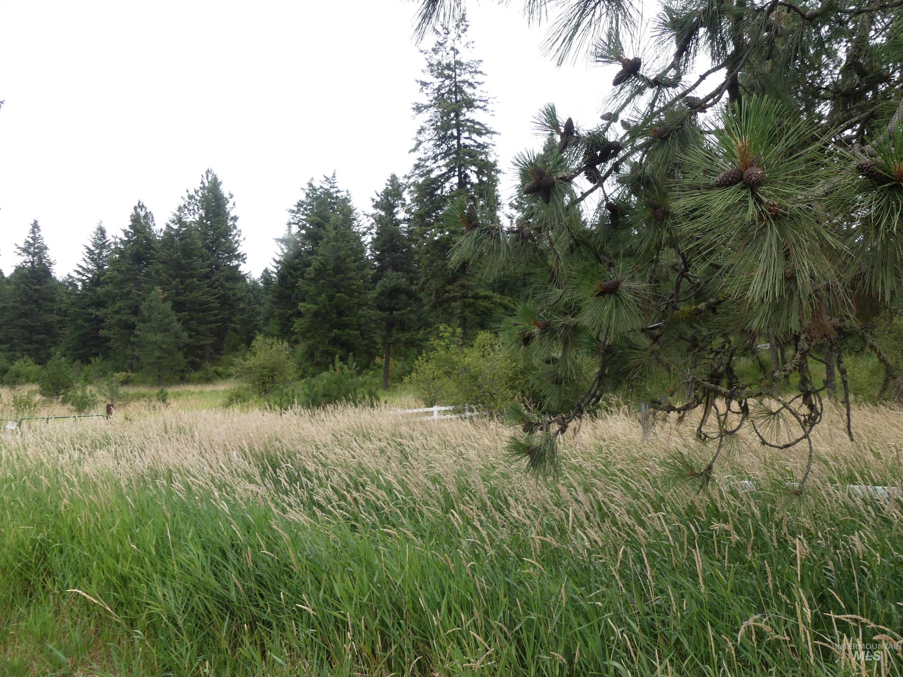 506 Devils Elbow Drive, Lenore, Idaho 83541, Land For Sale, Price $350,000, 98941221