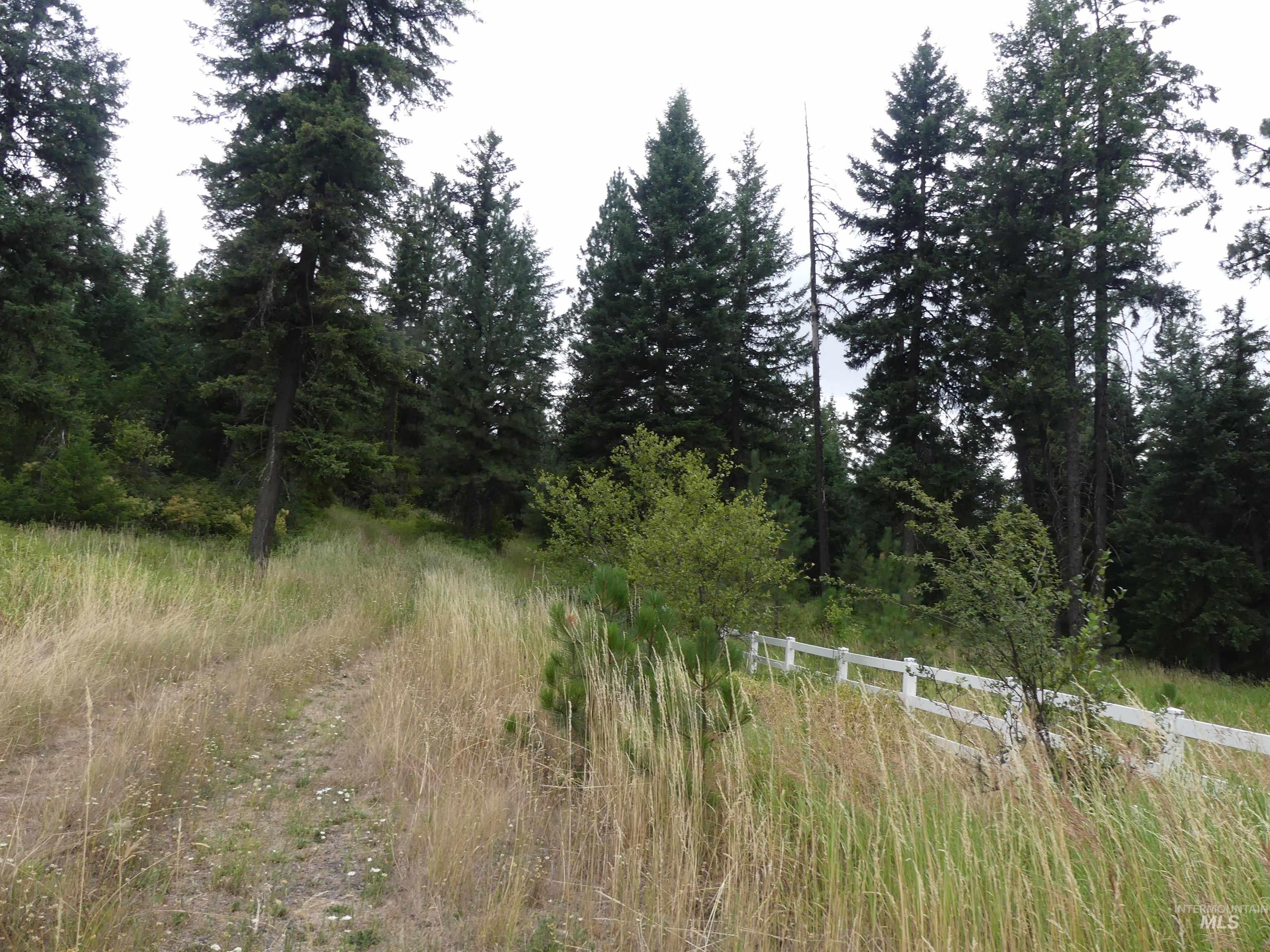 506 Devils Elbow Drive, Lenore, Idaho 83541, Land For Sale, Price $350,000, 98941221
