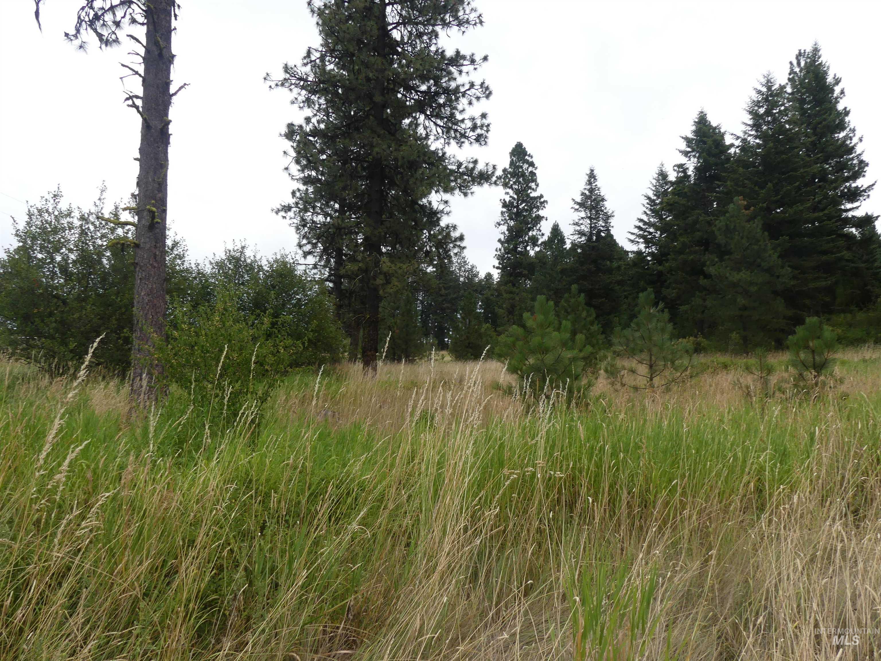 506 Devils Elbow Drive, Lenore, Idaho 83541, Land For Sale, Price $350,000, 98941221
