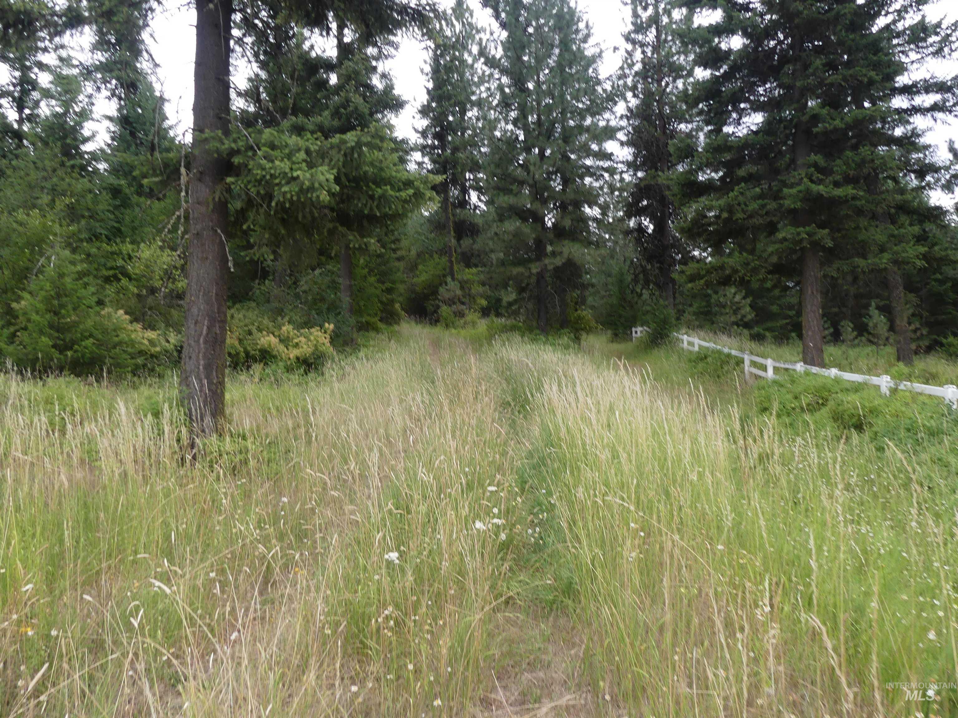 506 Devils Elbow Drive, Lenore, Idaho 83541, Land For Sale, Price $350,000, 98941221