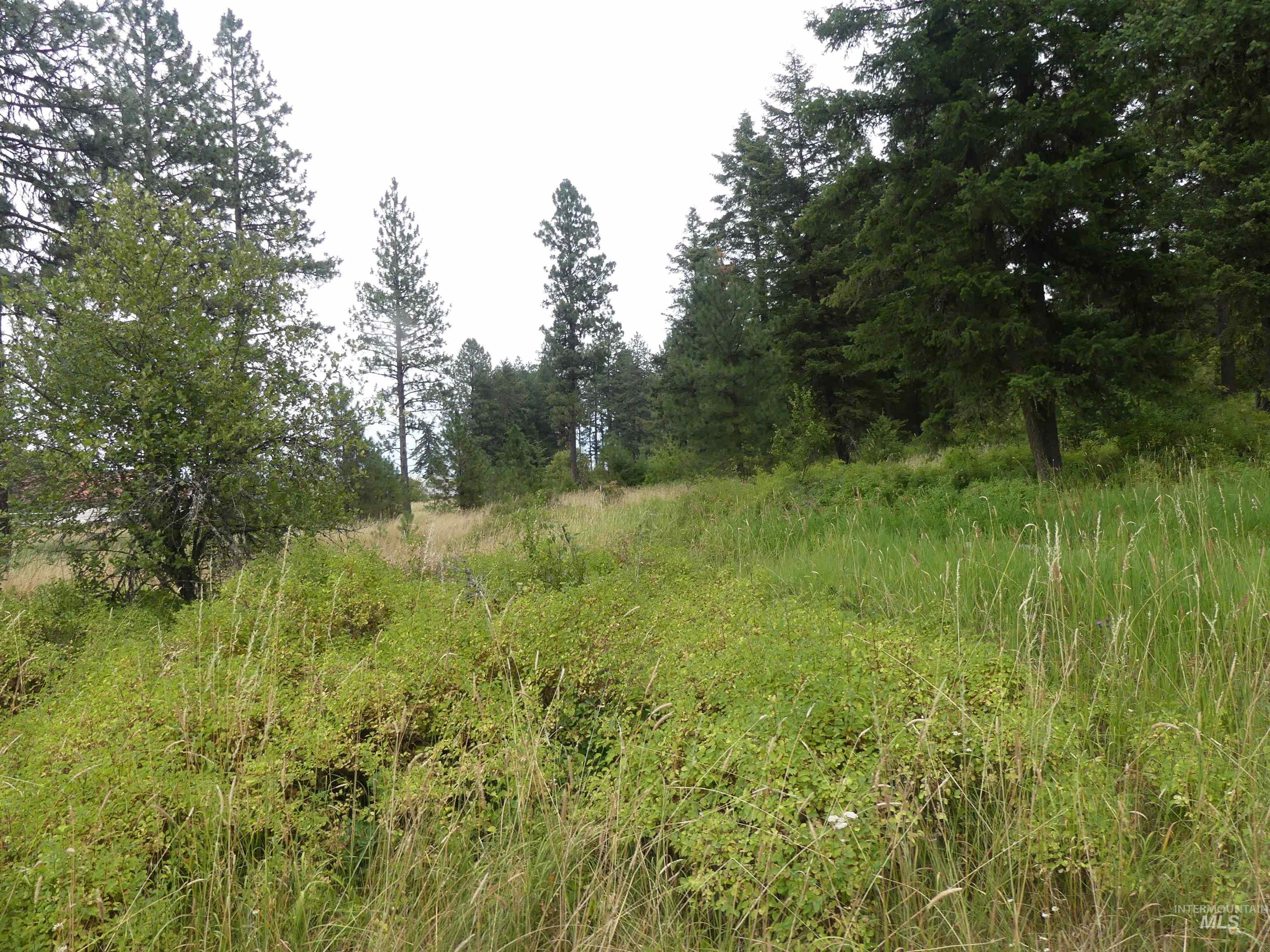 506 Devils Elbow Drive, Lenore, Idaho 83541, Land For Sale, Price $350,000, 98941221