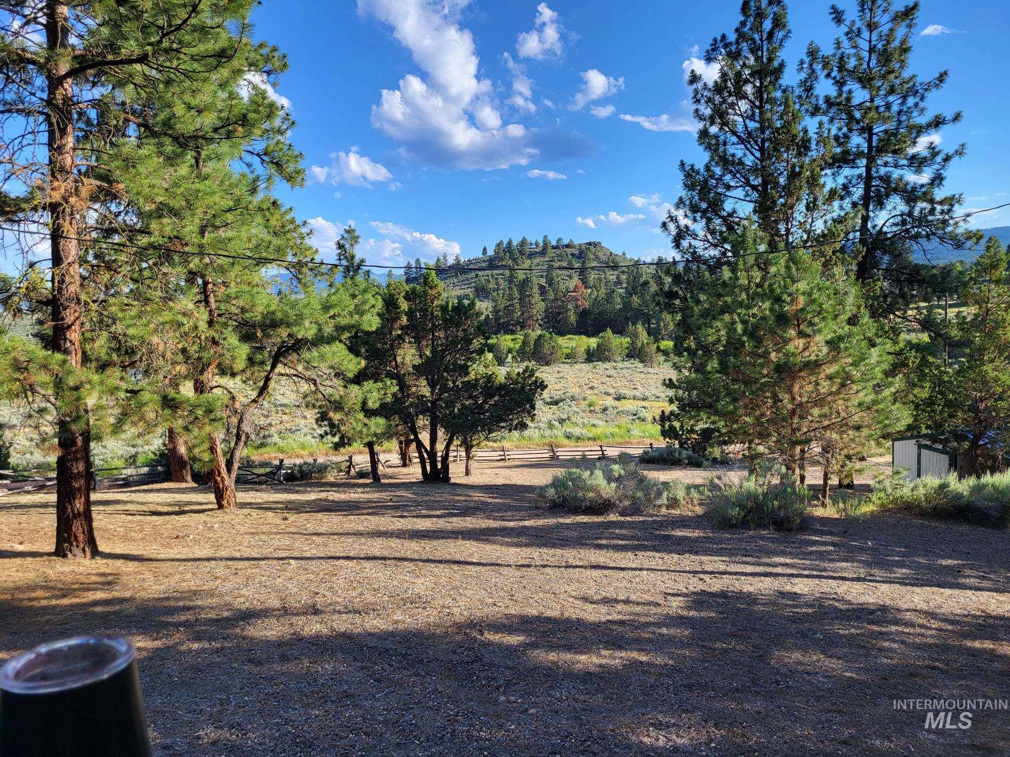 TBD Rattlesnake Ln., Unity, Oregon 97884, Land For Sale, Price $115,000, 98941357