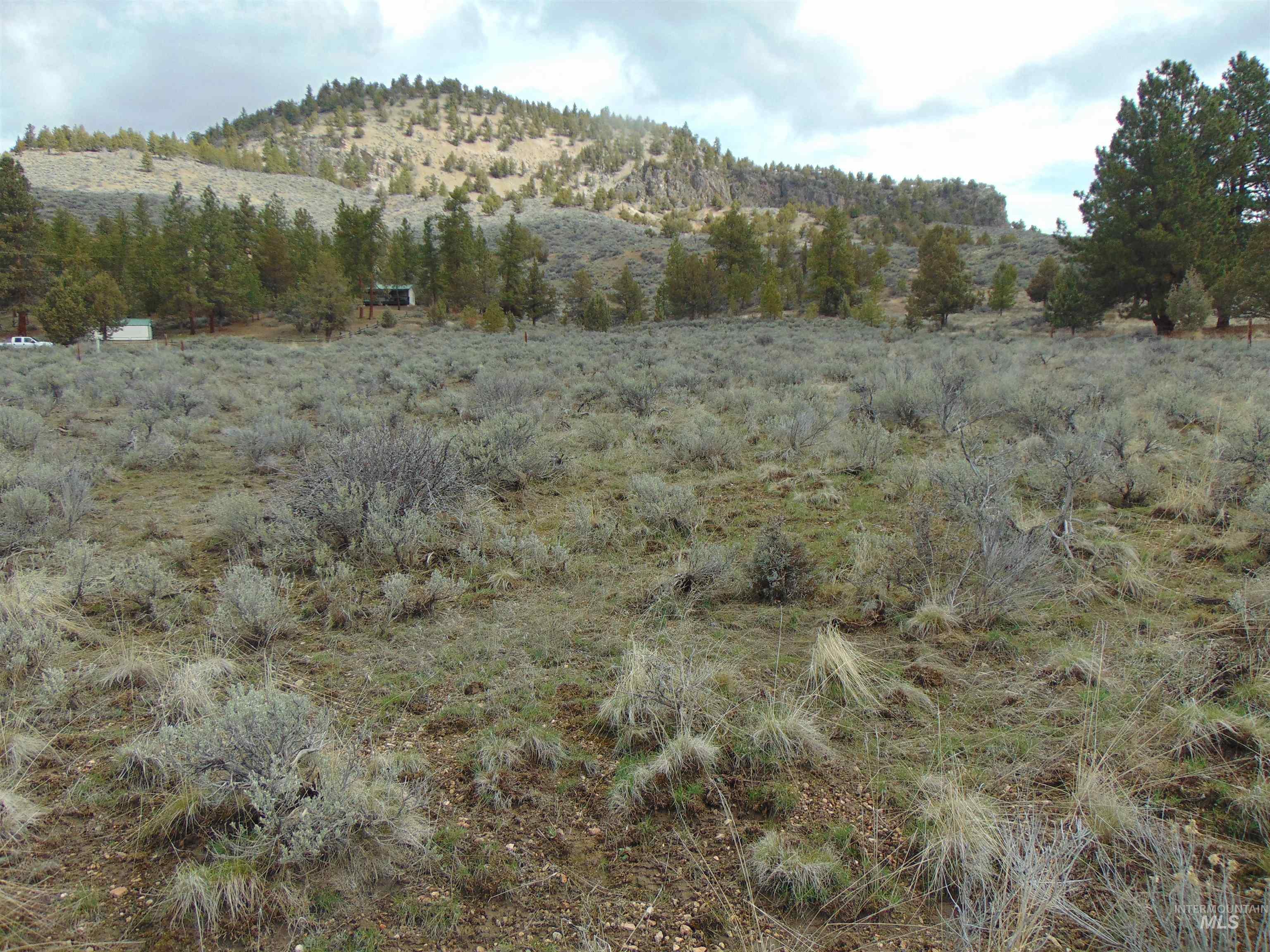 TBD Rattlesnake Ln., Unity, Oregon 97884, Land For Sale, Price $115,000,MLS 98941357
