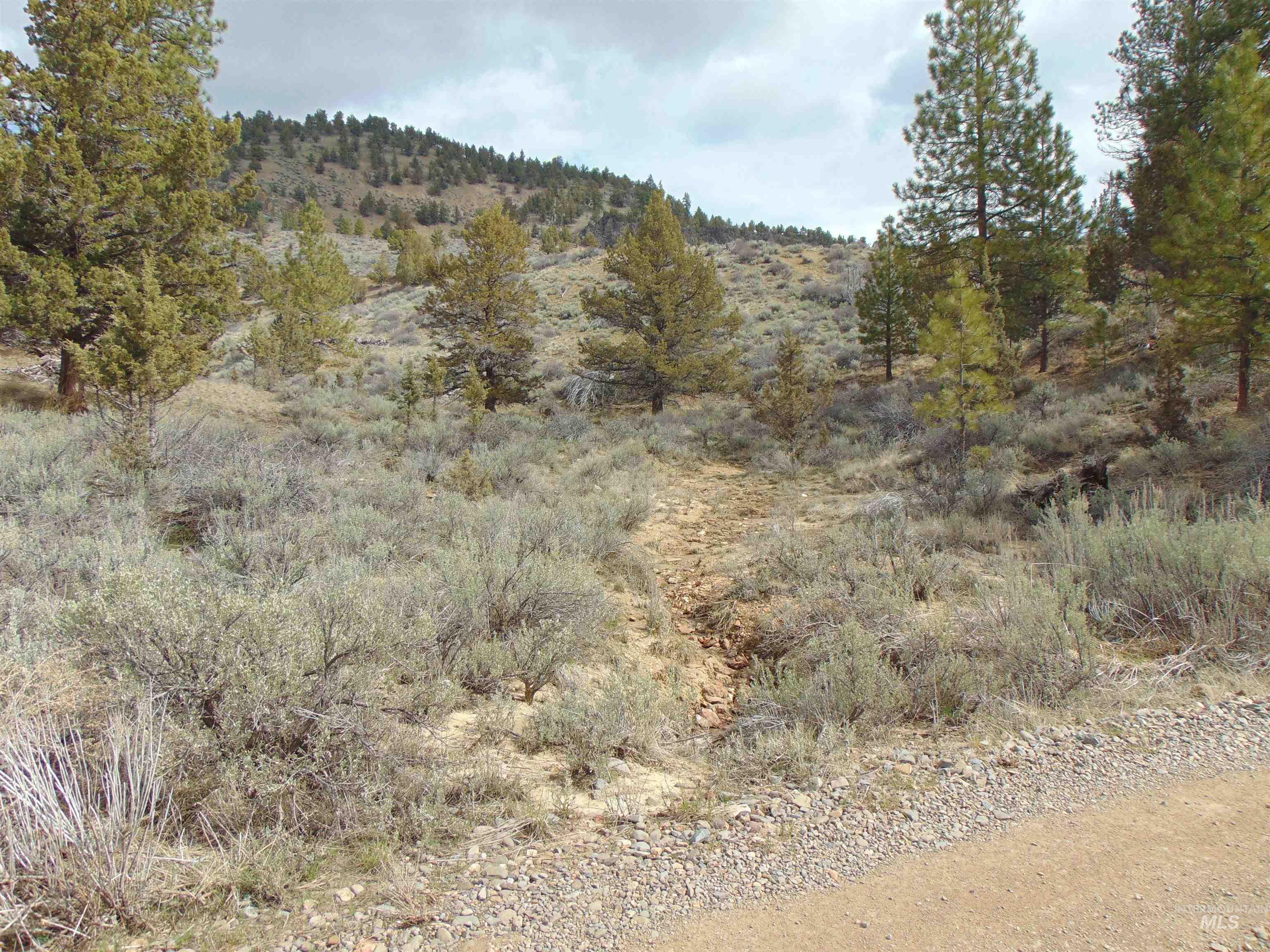 TBD Rattlesnake Ln., Unity, Oregon 97884, Land For Sale, Price $115,000, 98941357