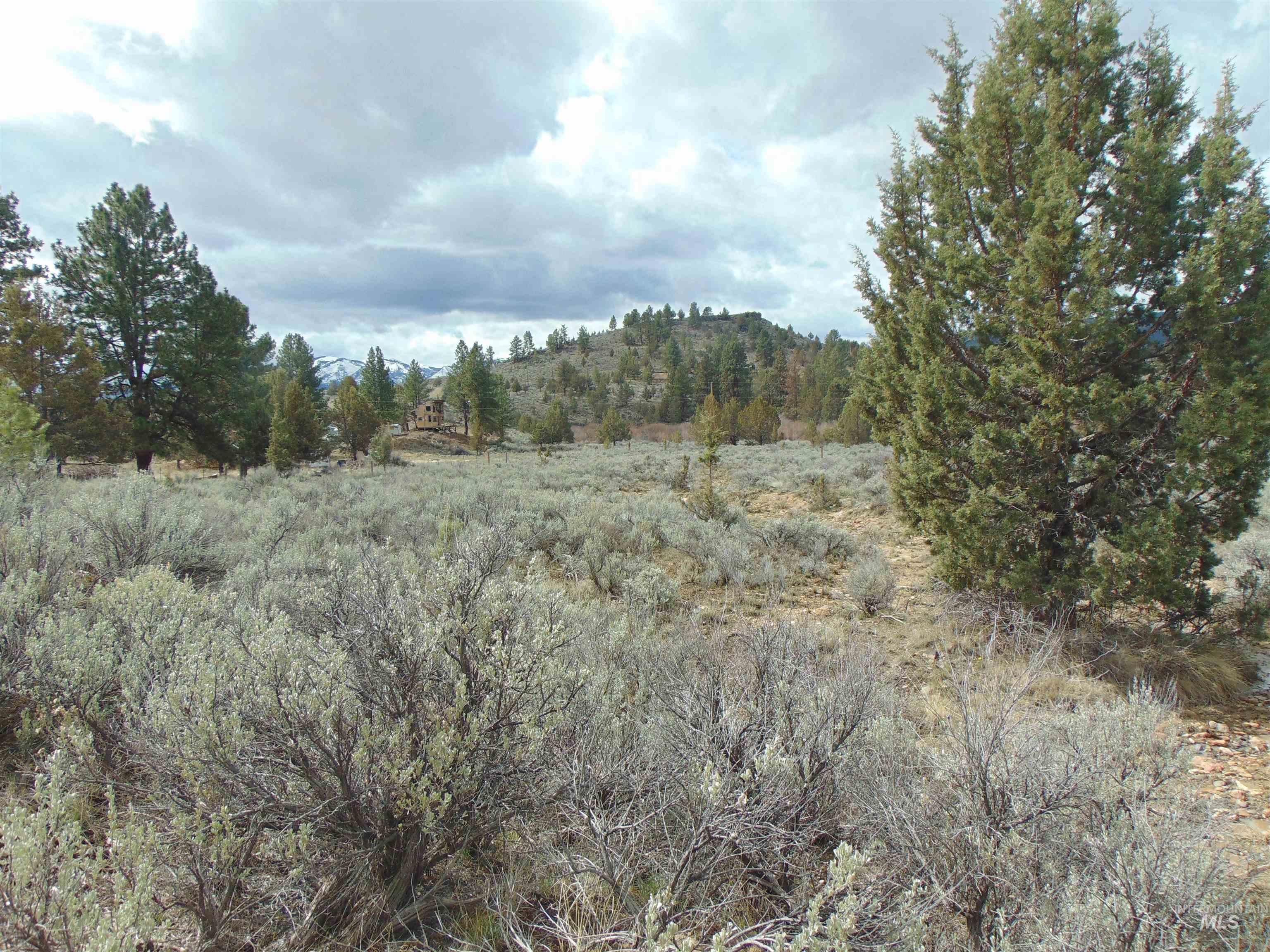 TBD Rattlesnake Ln., Unity, Oregon 97884, Land For Sale, Price $115,000, 98941357