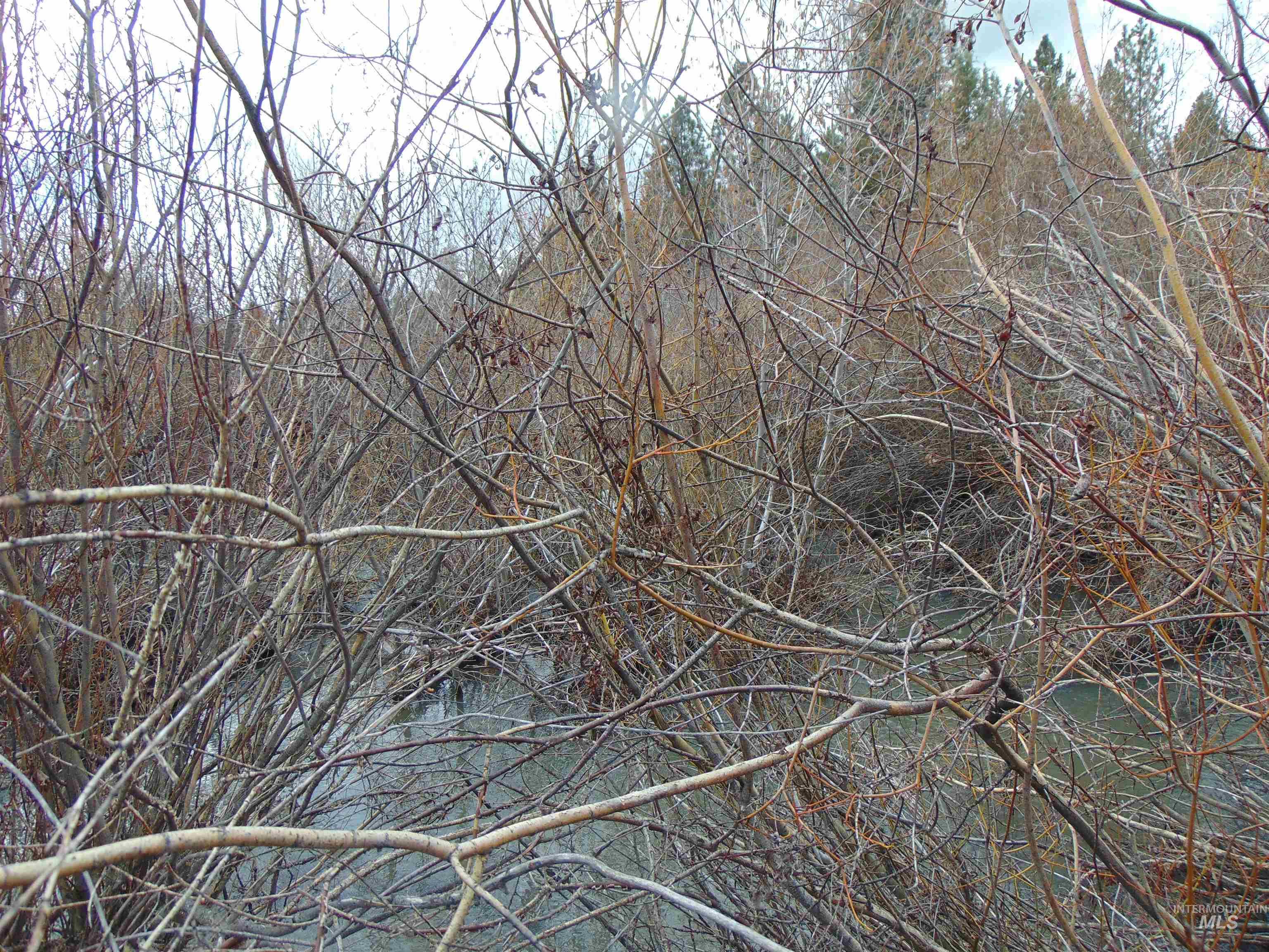 TBD Rattlesnake Ln., Unity, Oregon 97884, Land For Sale, Price $115,000, 98941357