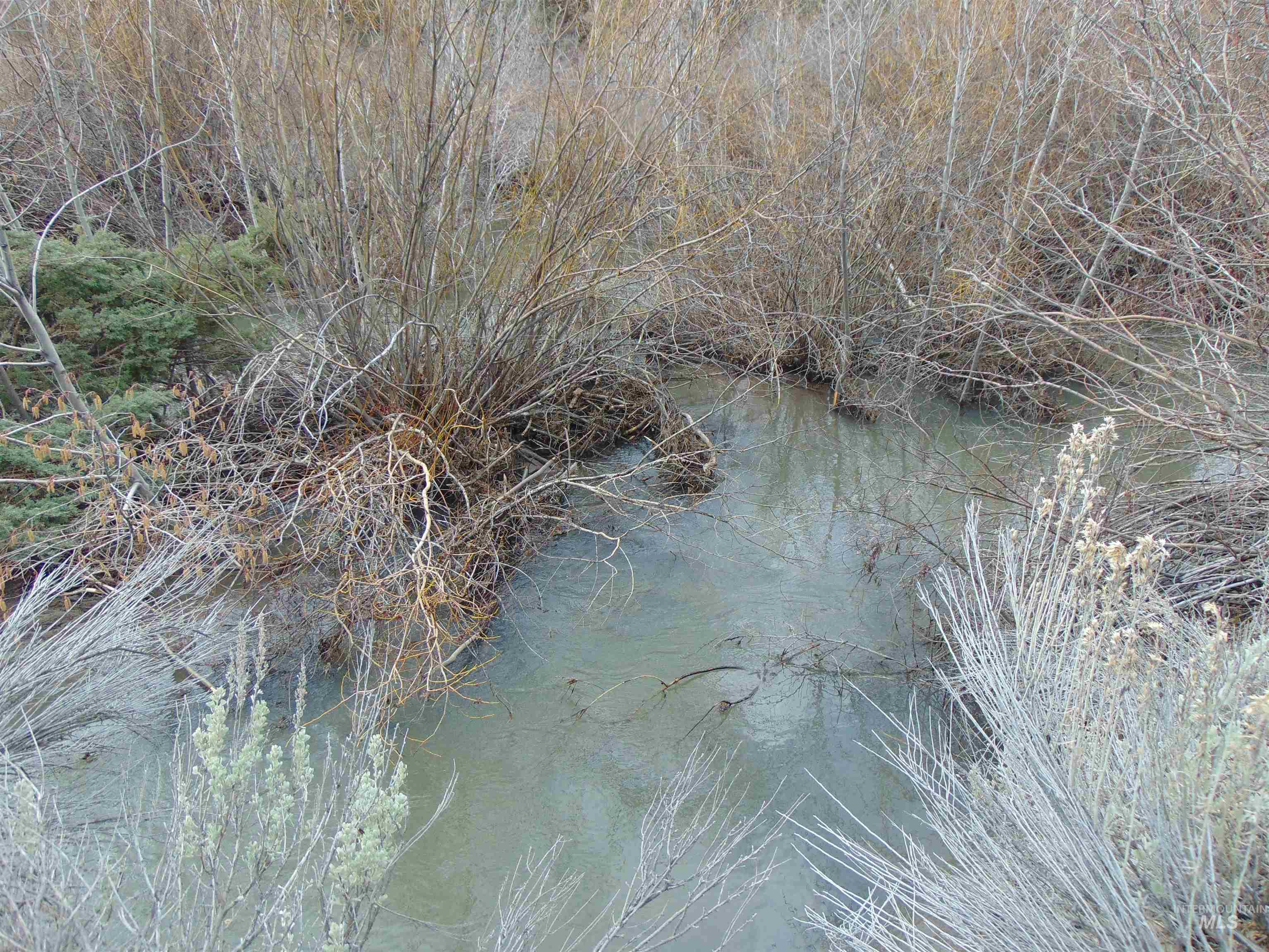 TBD Rattlesnake Ln., Unity, Oregon 97884, Land For Sale, Price $115,000, 98941357