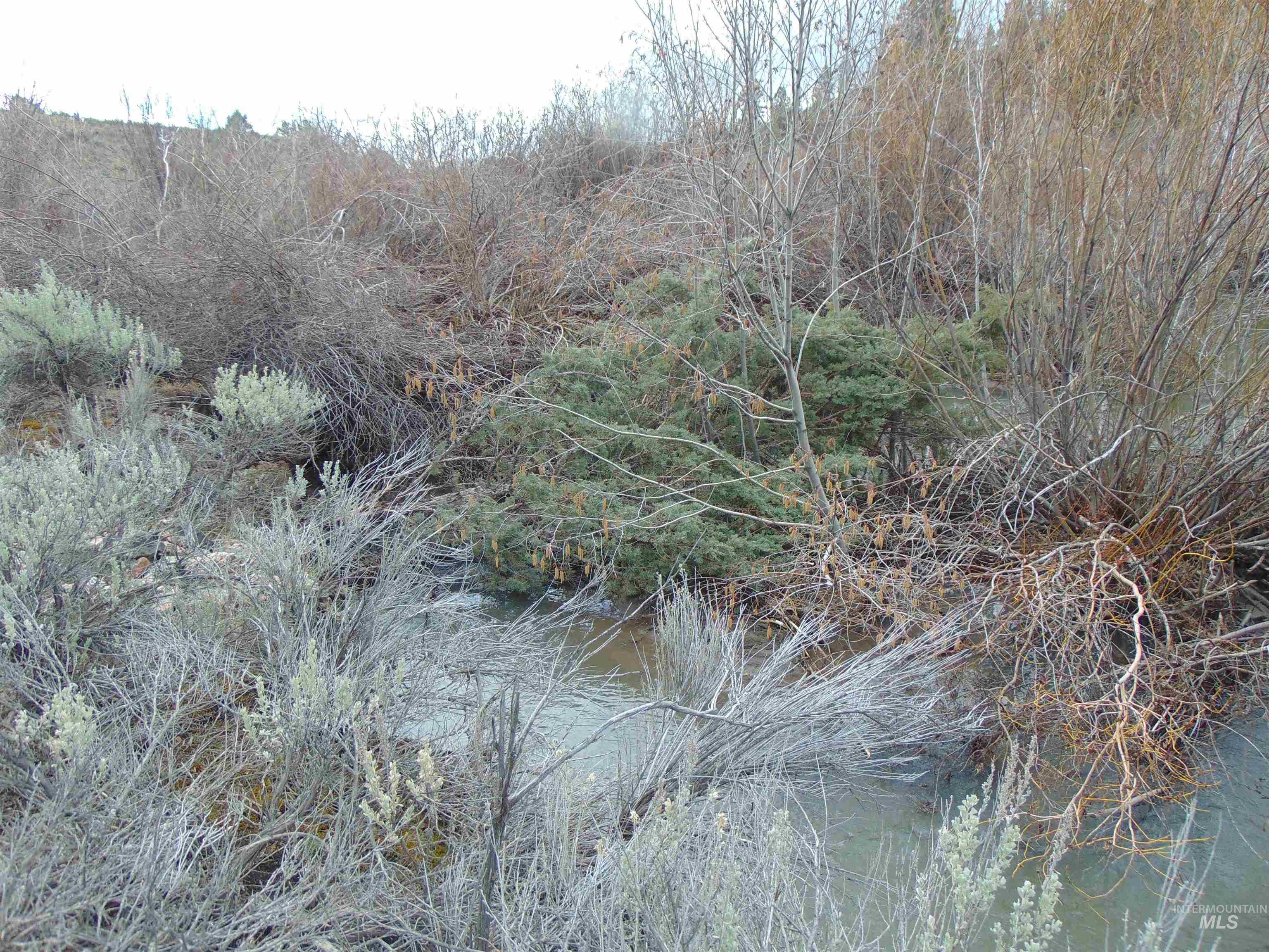 TBD Rattlesnake Ln., Unity, Oregon 97884, Land For Sale, Price $115,000, 98941357