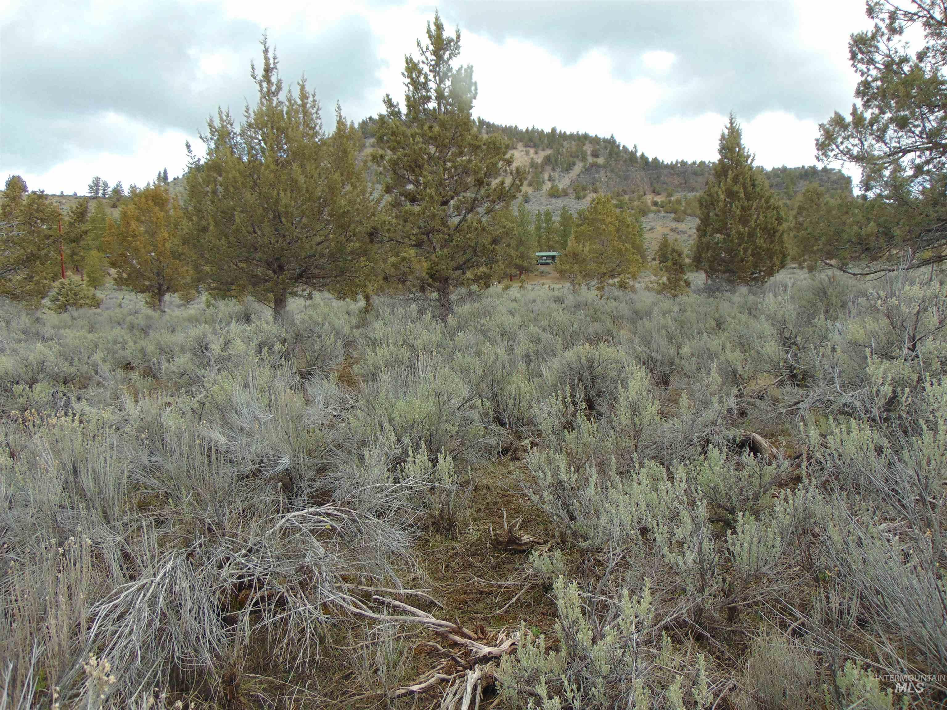 TBD Rattlesnake Ln., Unity, Oregon 97884, Land For Sale, Price $115,000, 98941357