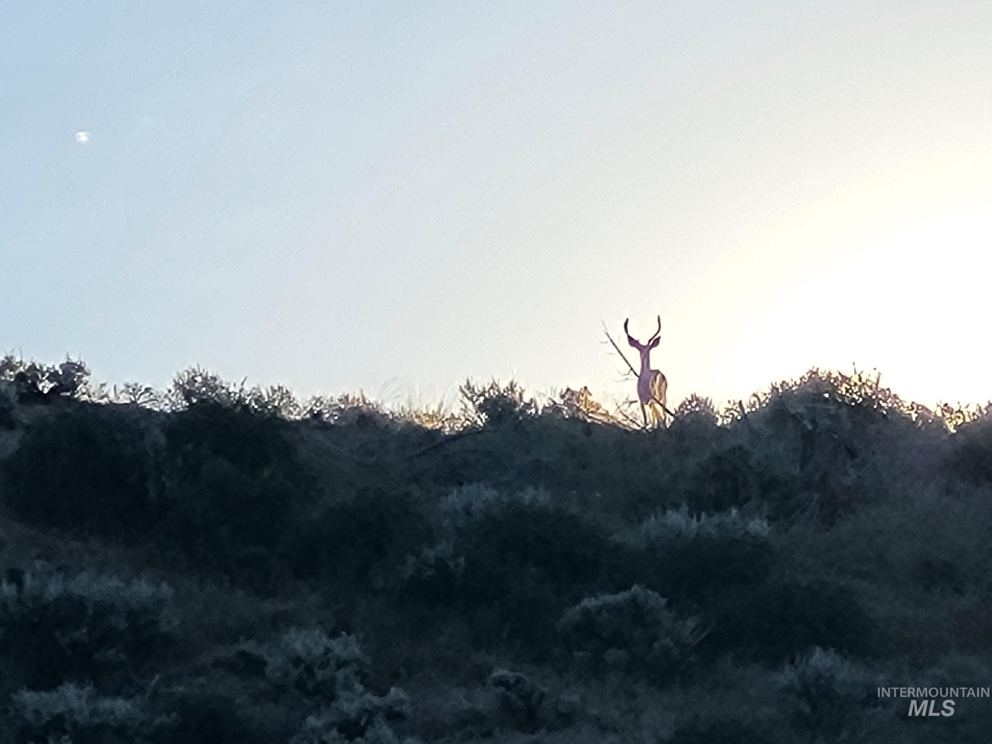 TBD Rattlesnake Ln., Unity, Oregon 97884, Land For Sale, Price $115,000, 98941357