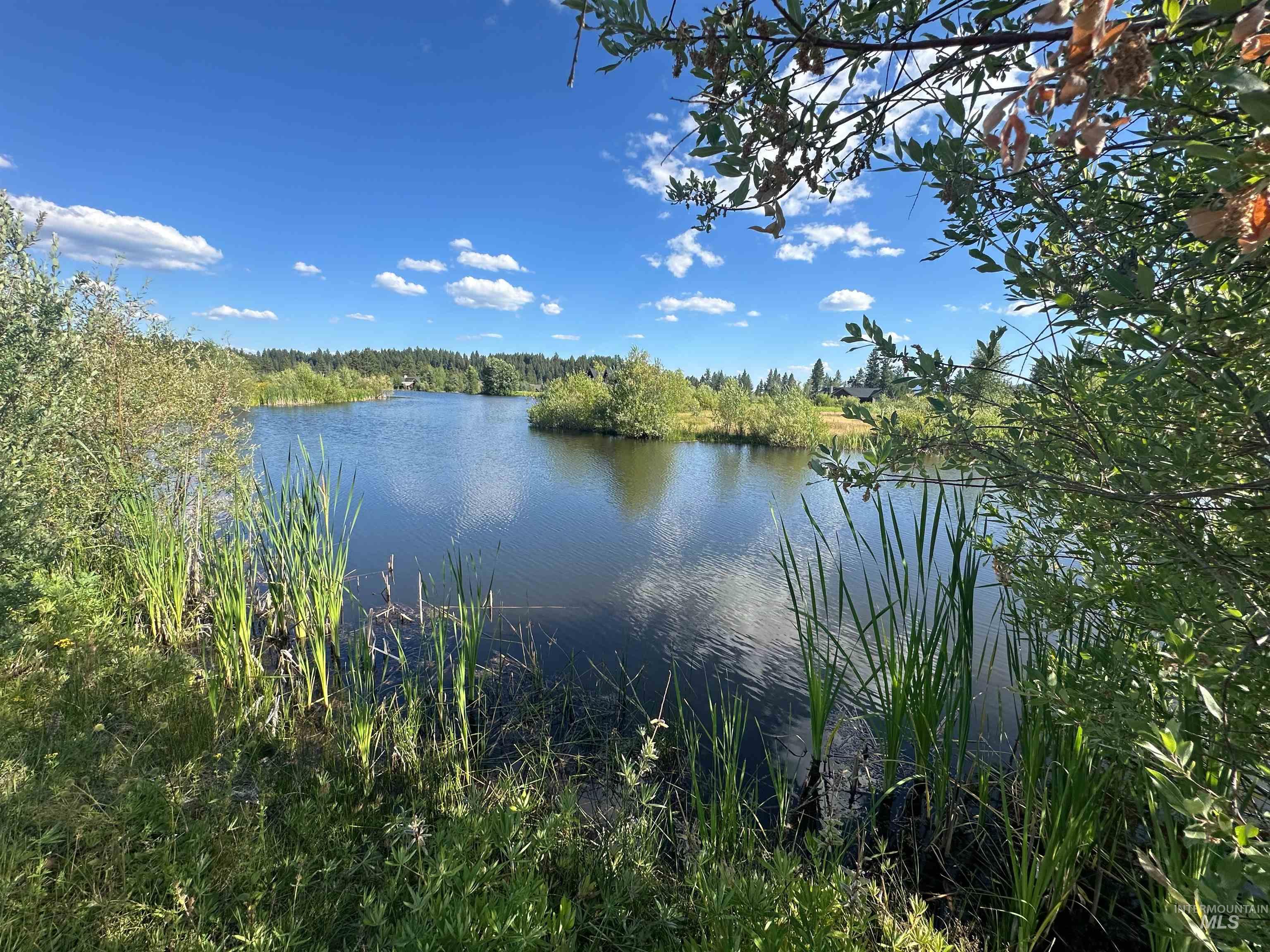 11 Owleclover Lane, McCall, Idaho 83638, Land For Sale, Price $225,000,MLS 98941612