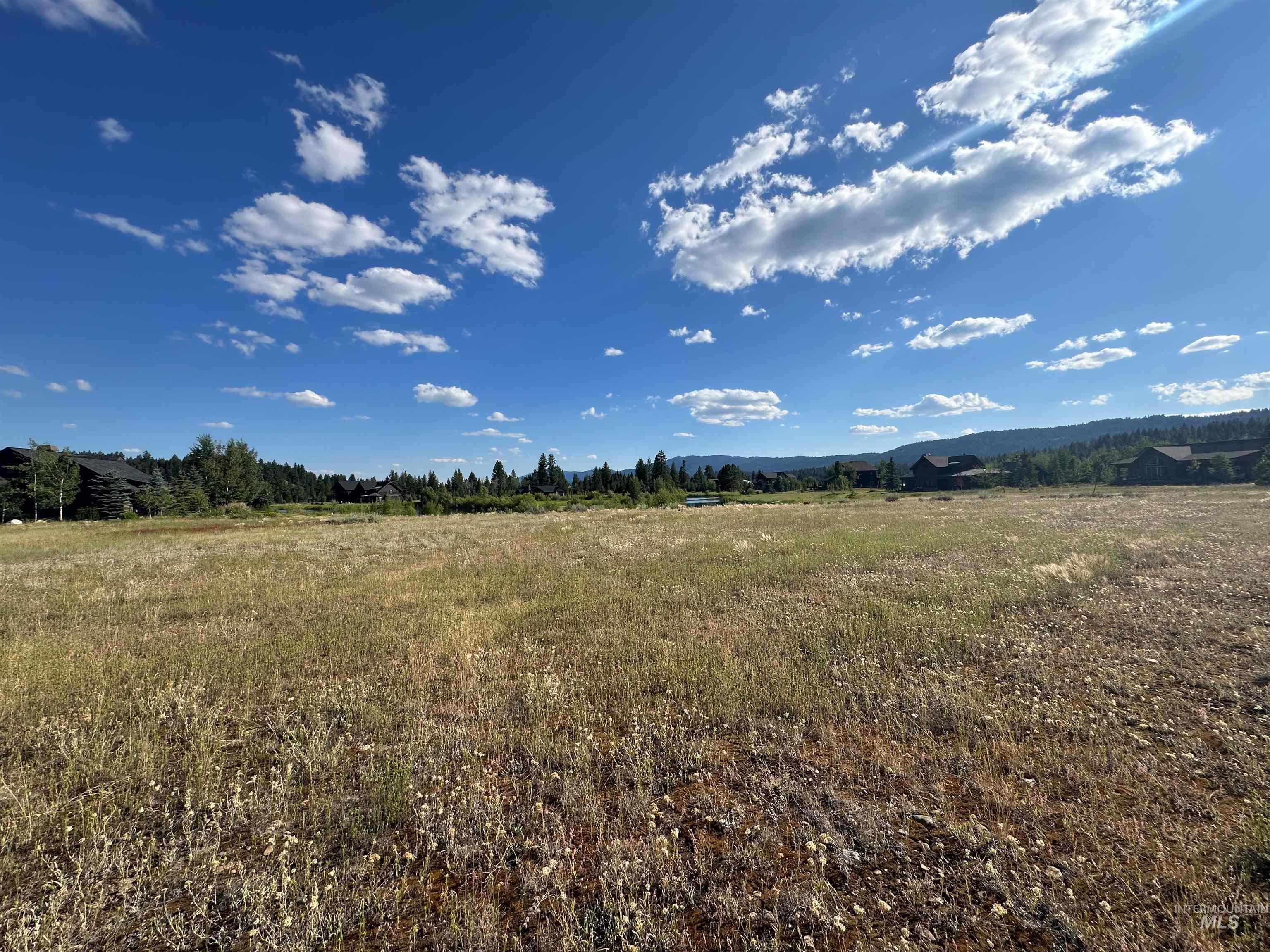 11 Owleclover Lane, McCall, Idaho 83638, Land For Sale, Price $225,000,MLS 98941612