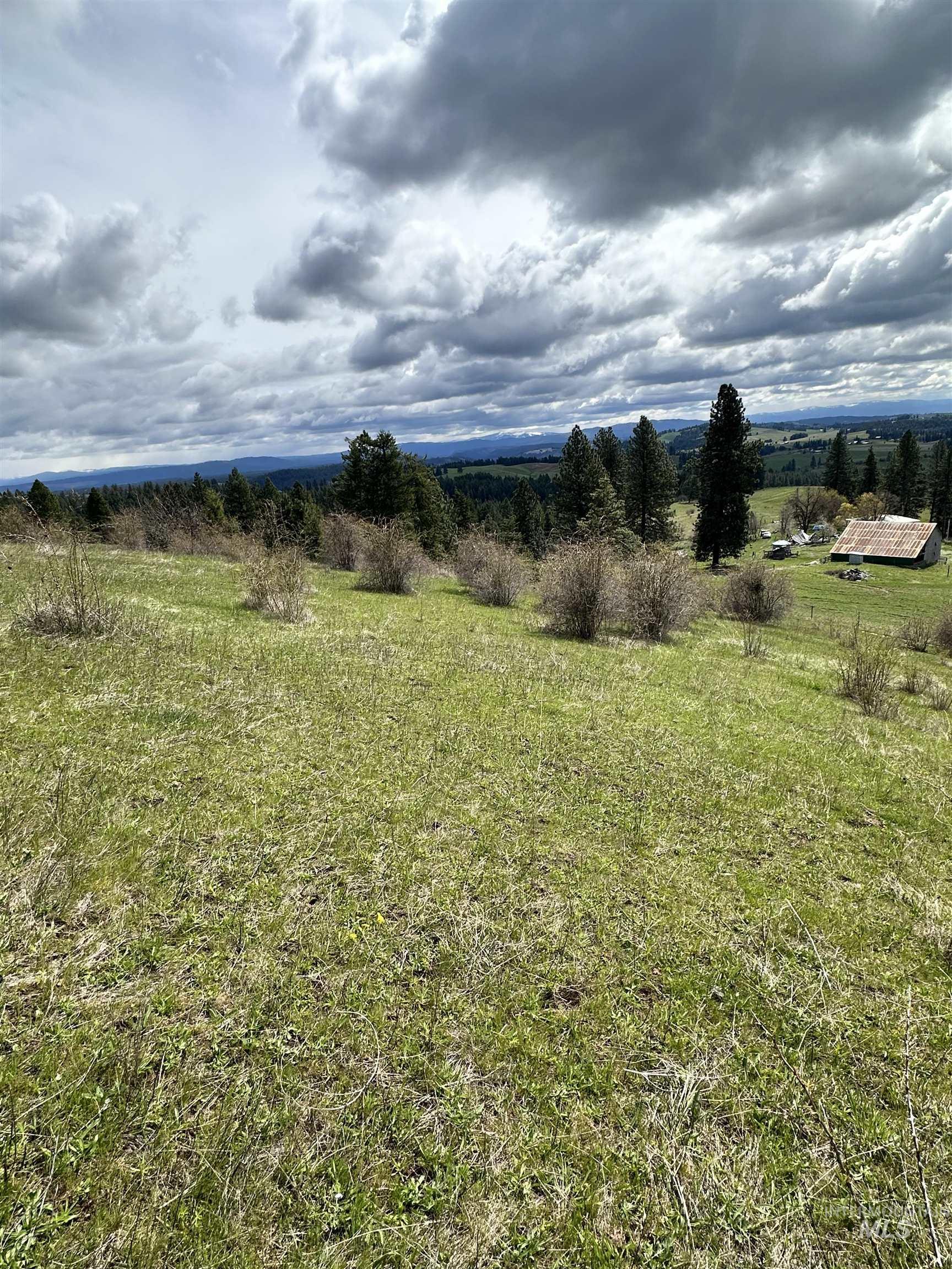 TBD Llama Lane, Kamiah, Idaho 83536, Land For Sale, Price $525,000,MLS 98941614