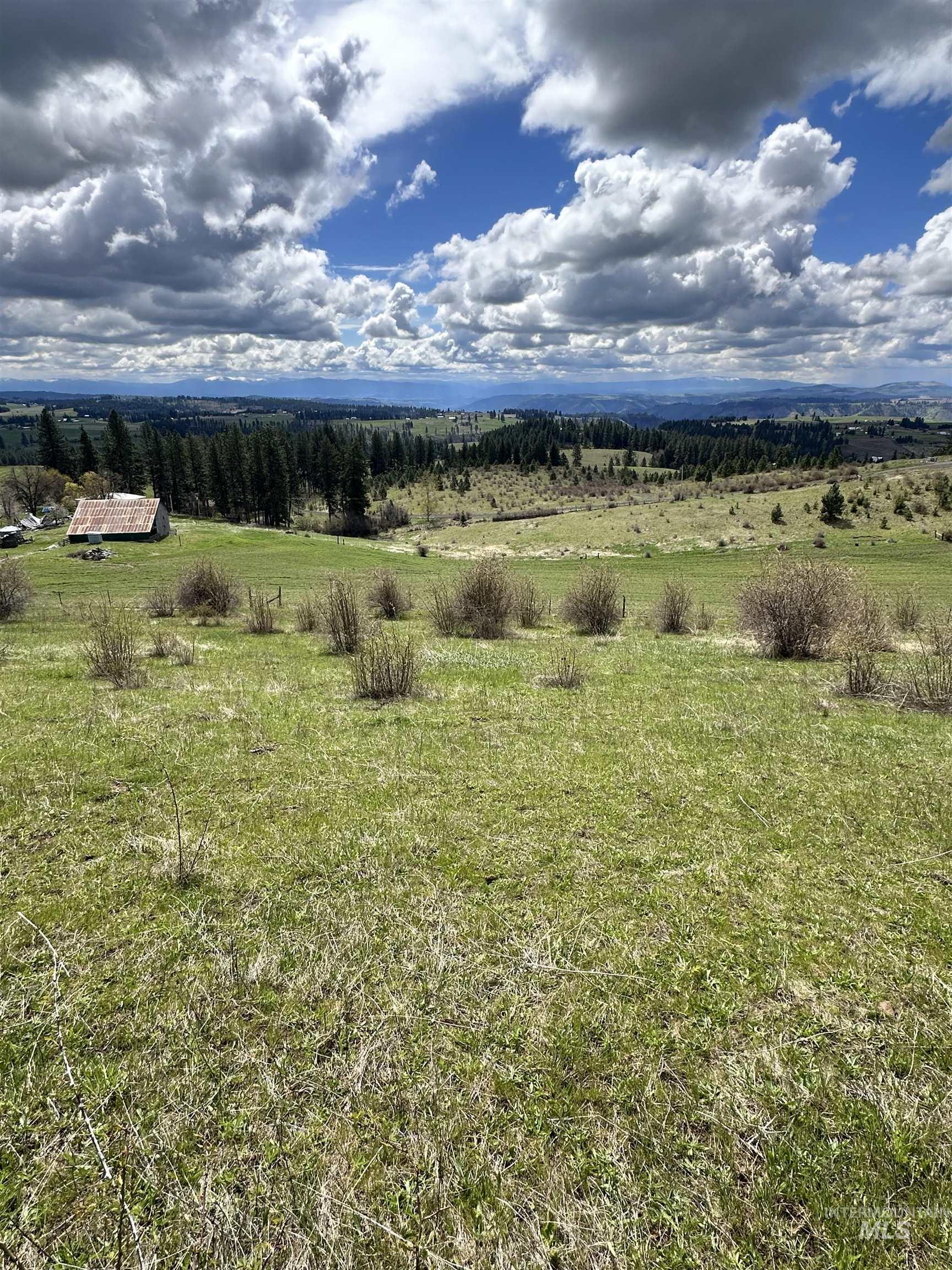 TBD Llama Lane, Kamiah, Idaho 83536, Land For Sale, Price $525,000,MLS 98941614