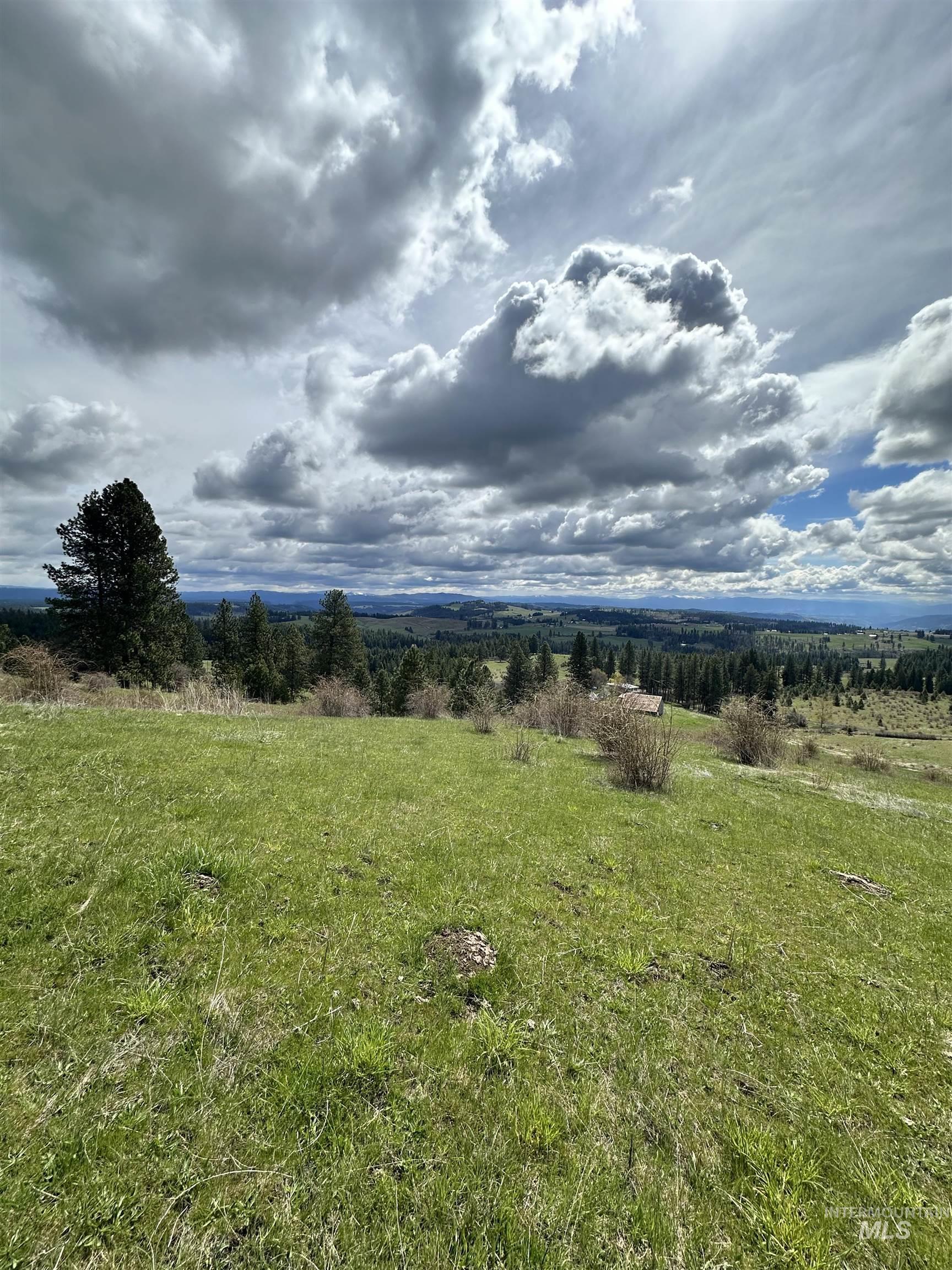 TBD Llama Lane, Kamiah, Idaho 83536, Land For Sale, Price $525,000,MLS 98941614