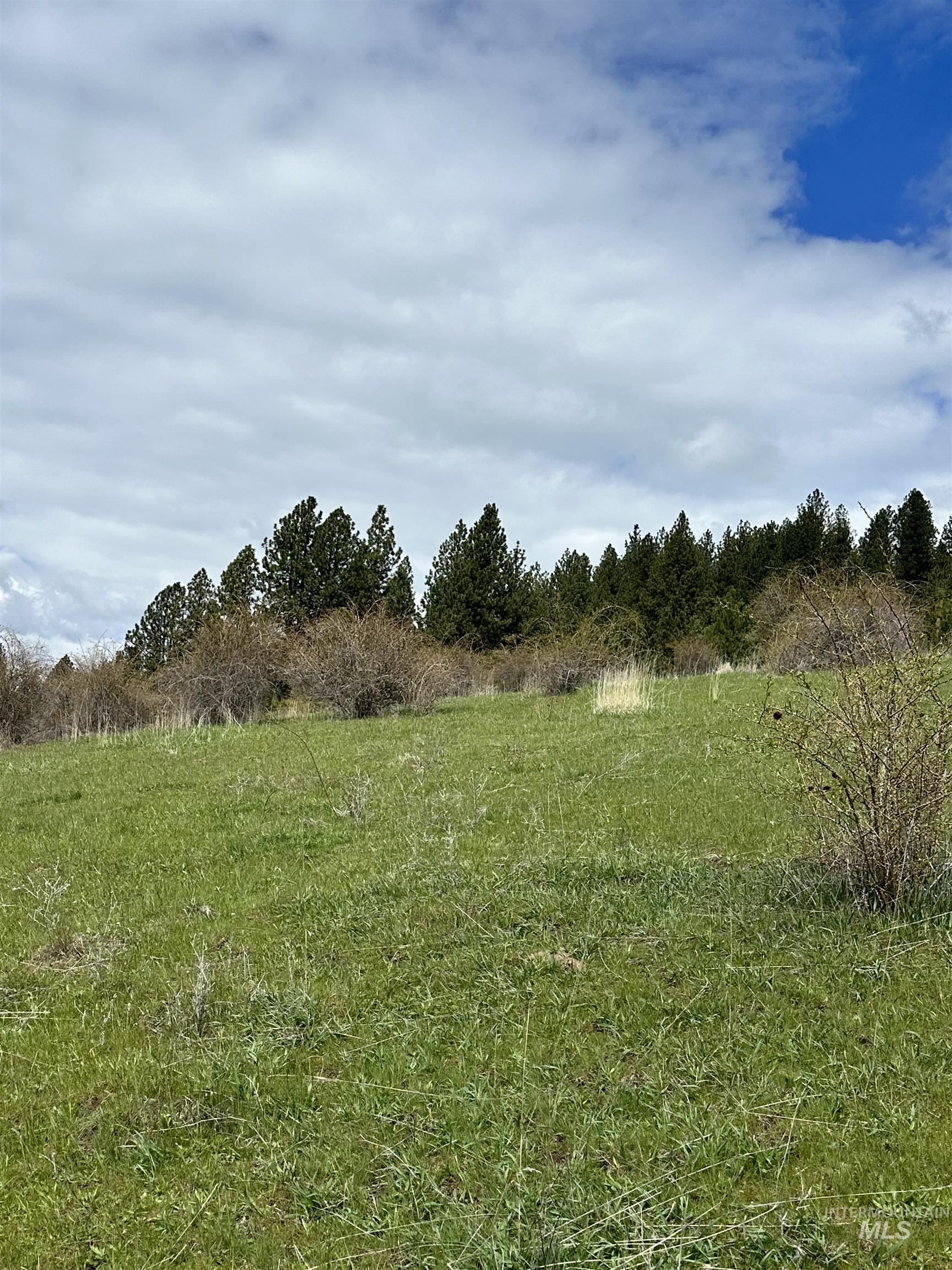 TBD Llama Lane, Kamiah, Idaho 83536, Land For Sale, Price $525,000,MLS 98941614