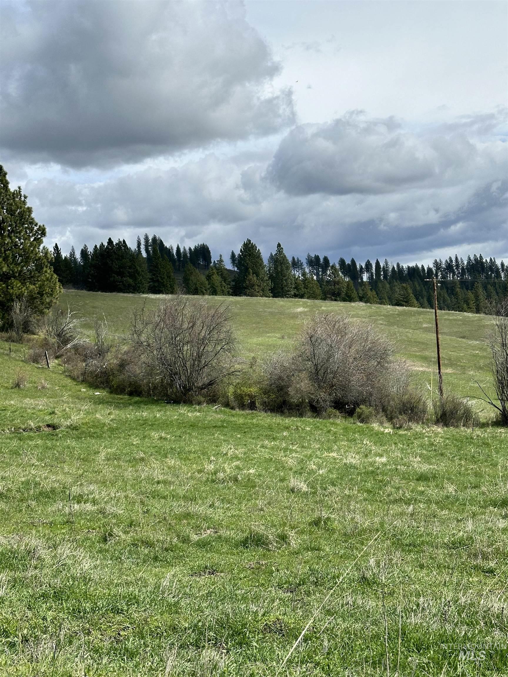 TBD Llama Lane, Kamiah, Idaho 83536, Land For Sale, Price $525,000,MLS 98941614