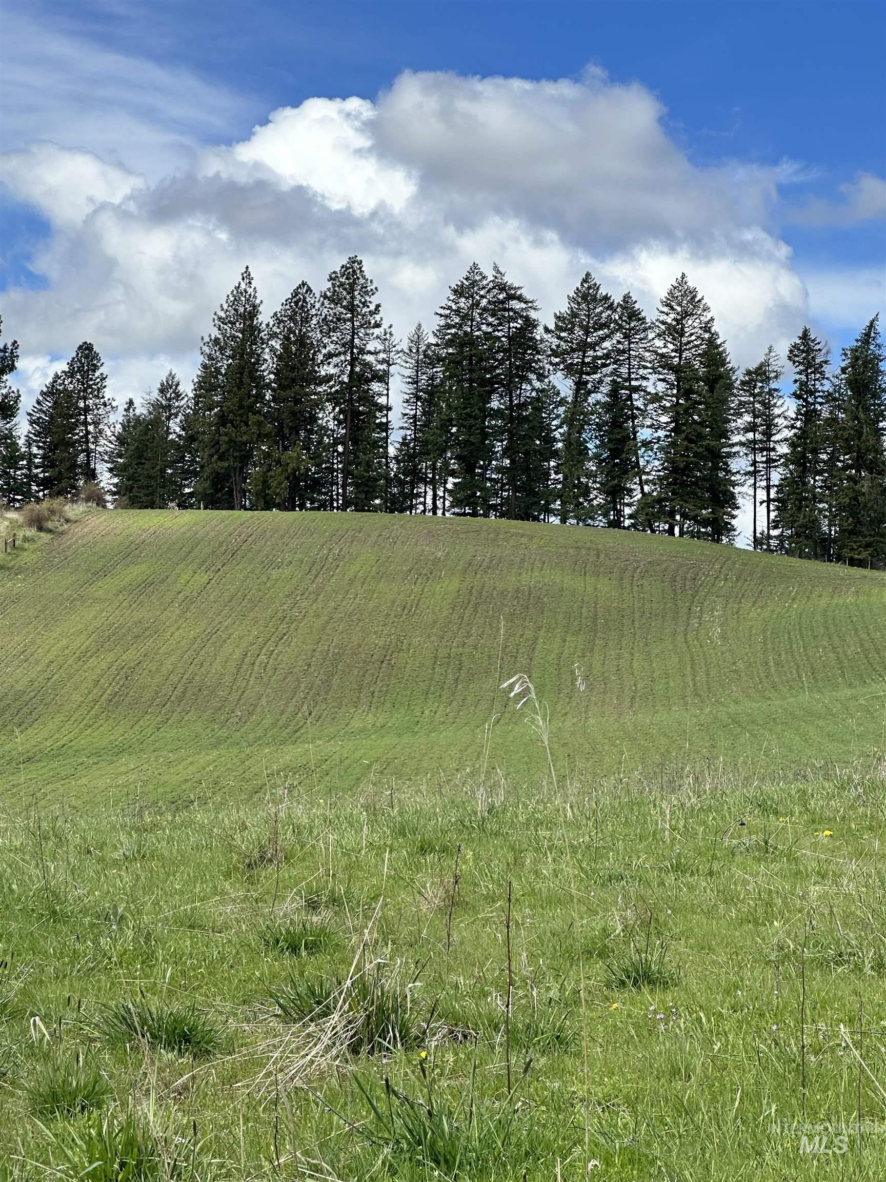 TBD Llama Lane, Kamiah, Idaho 83536, Land For Sale, Price $525,000,MLS 98941614