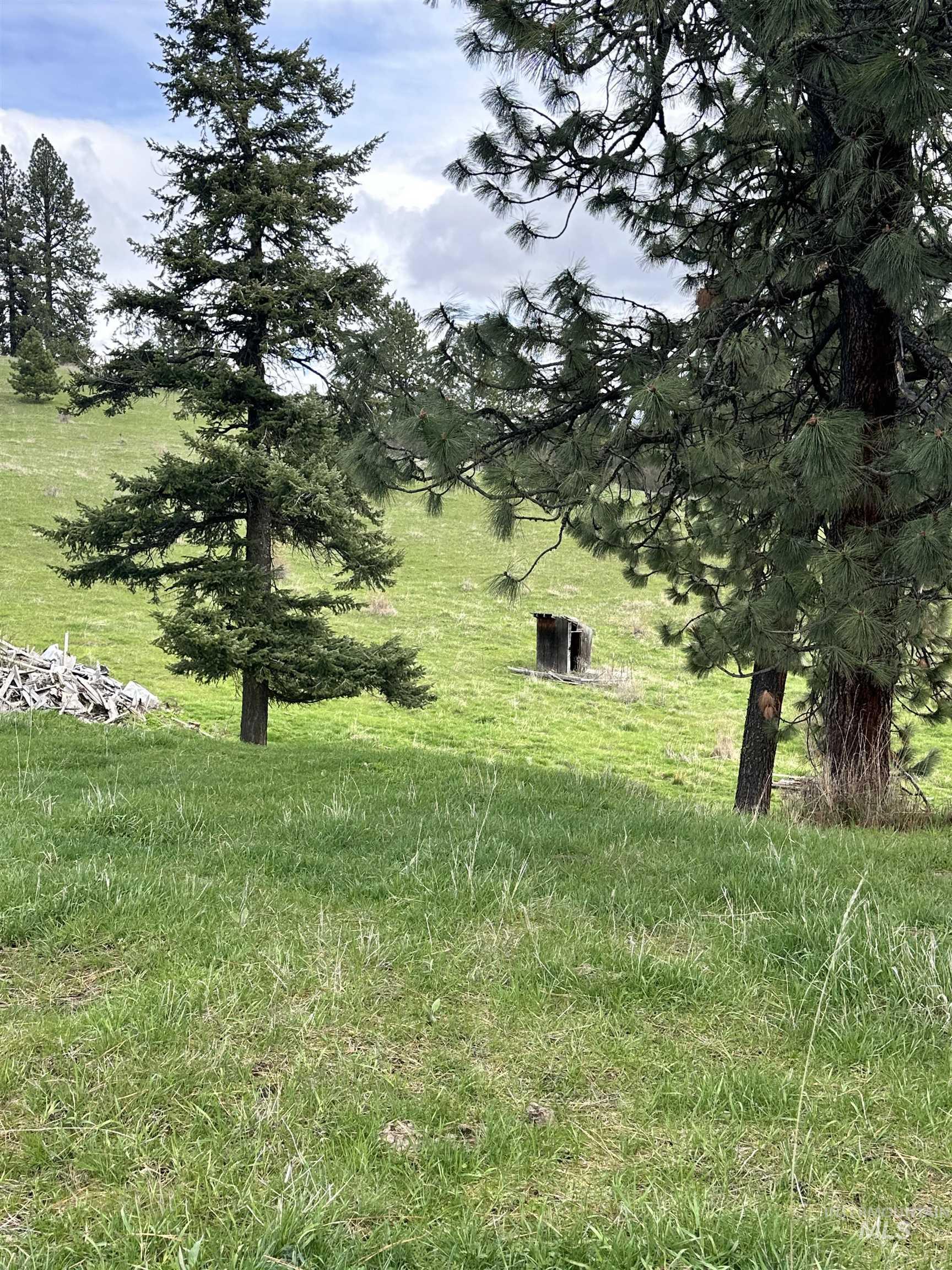 TBD Llama Lane, Kamiah, Idaho 83536, Land For Sale, Price $525,000,MLS 98941614