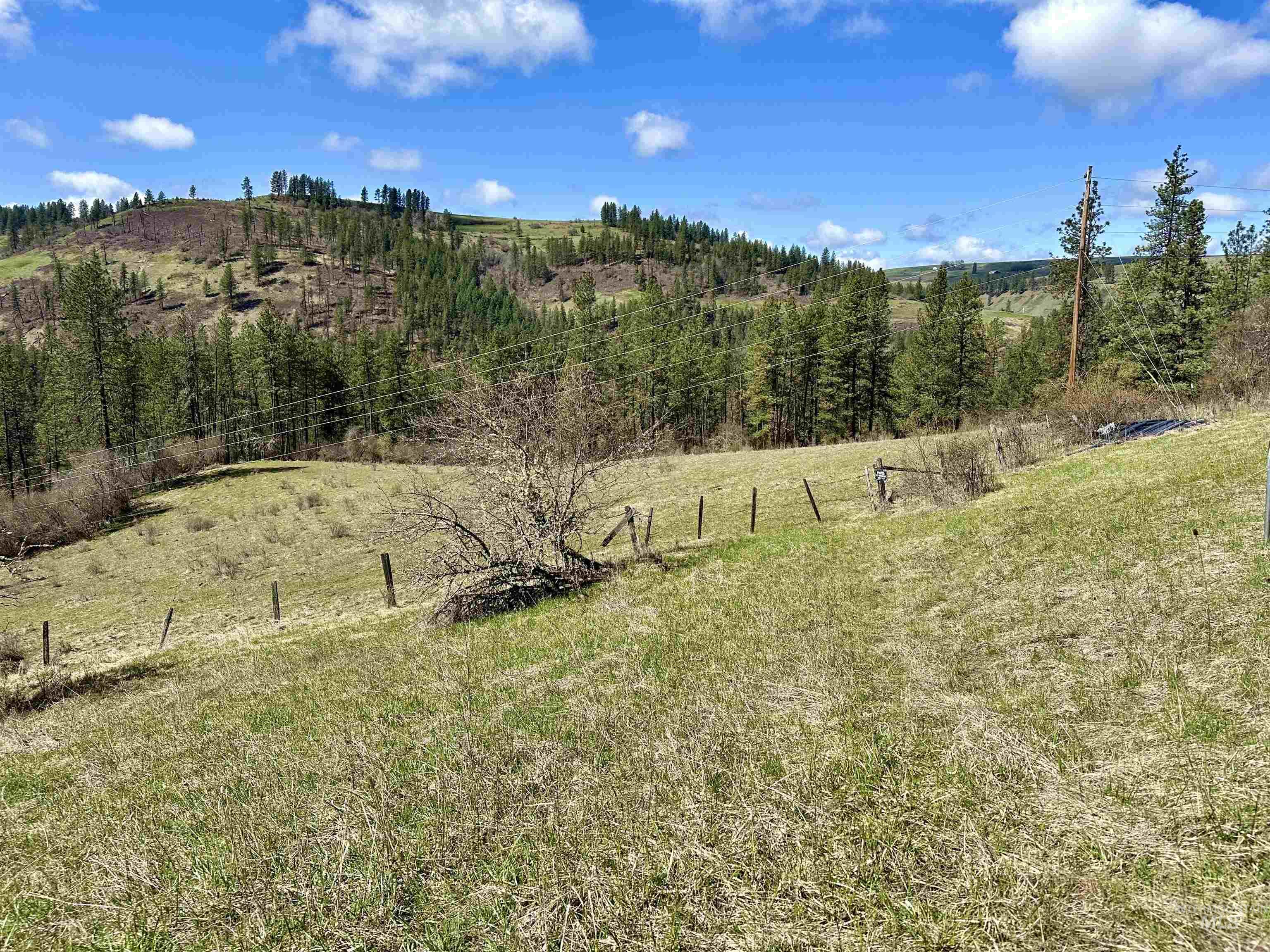 121 Ferguson Road, Harpster, Idaho 83553, Land For Sale, Price $269,900, 98941762