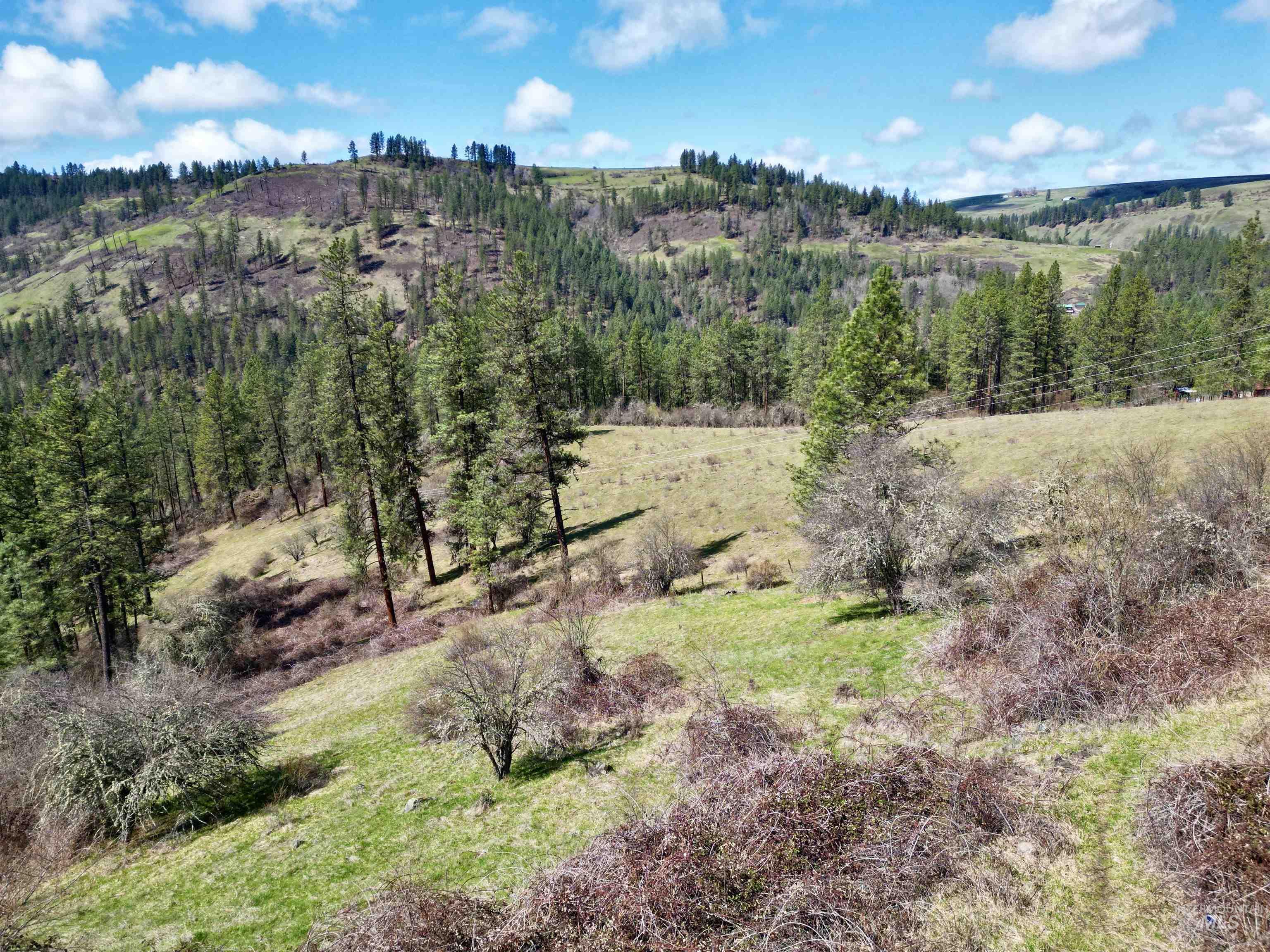121 Ferguson Road, Harpster, Idaho 83553, Land For Sale, Price $269,900, 98941762