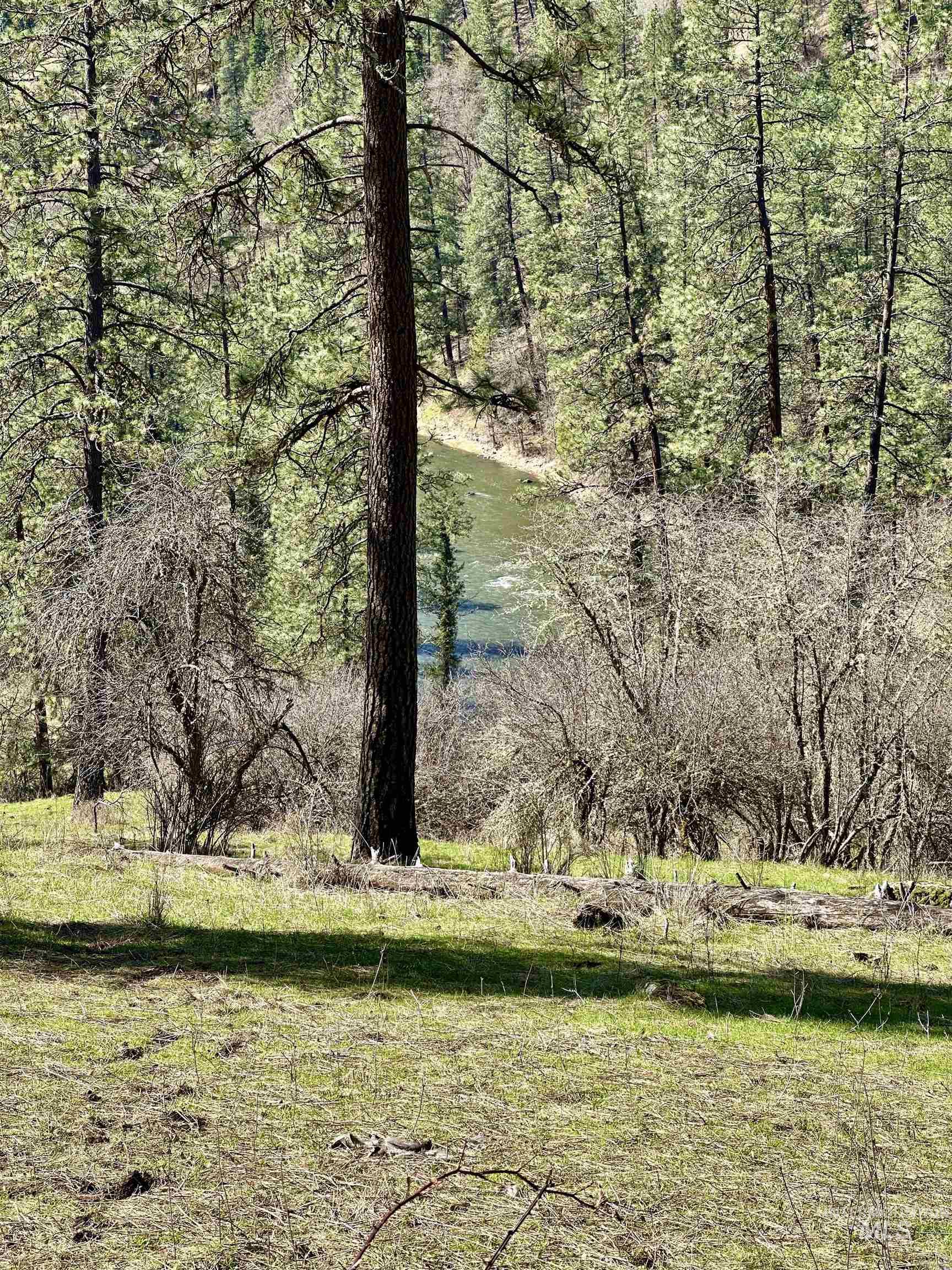 121 Ferguson Road, Harpster, Idaho 83553, Land For Sale, Price $269,900, 98941762