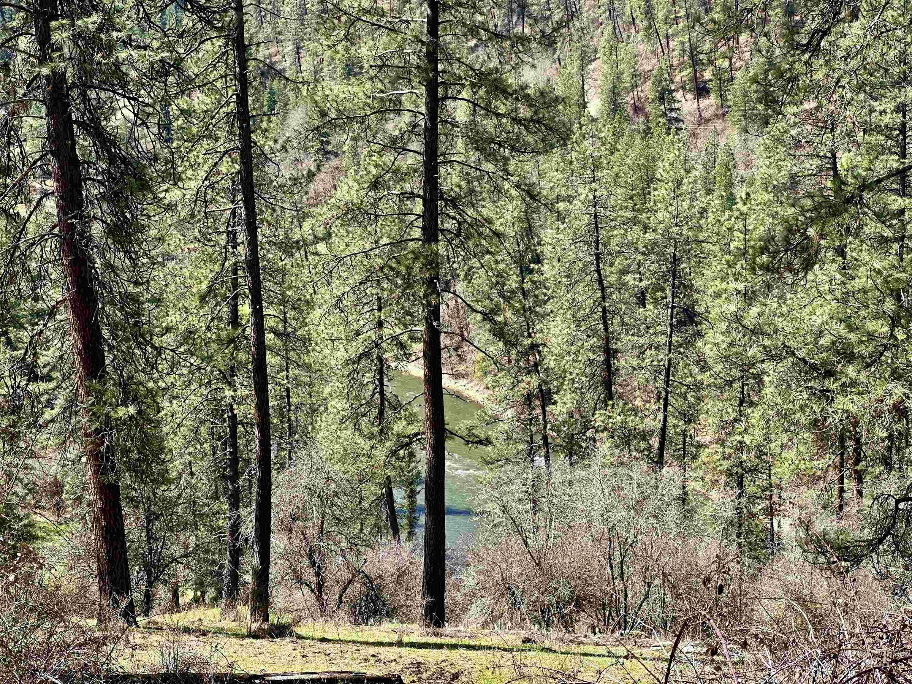 121 Ferguson Road, Harpster, Idaho 83553, Land For Sale, Price $269,900, 98941762