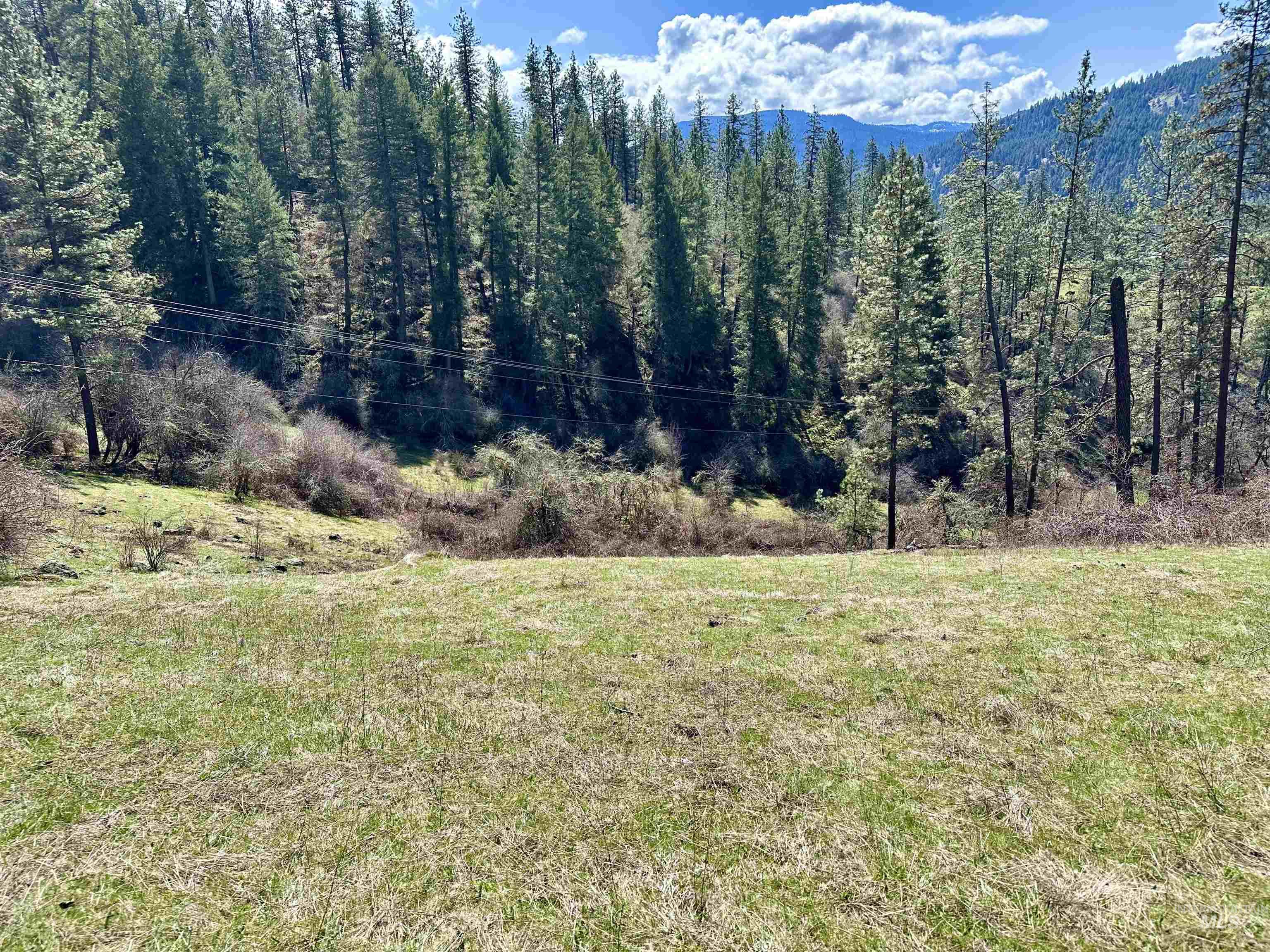 121 Ferguson Road, Harpster, Idaho 83553, Land For Sale, Price $269,900, 98941762