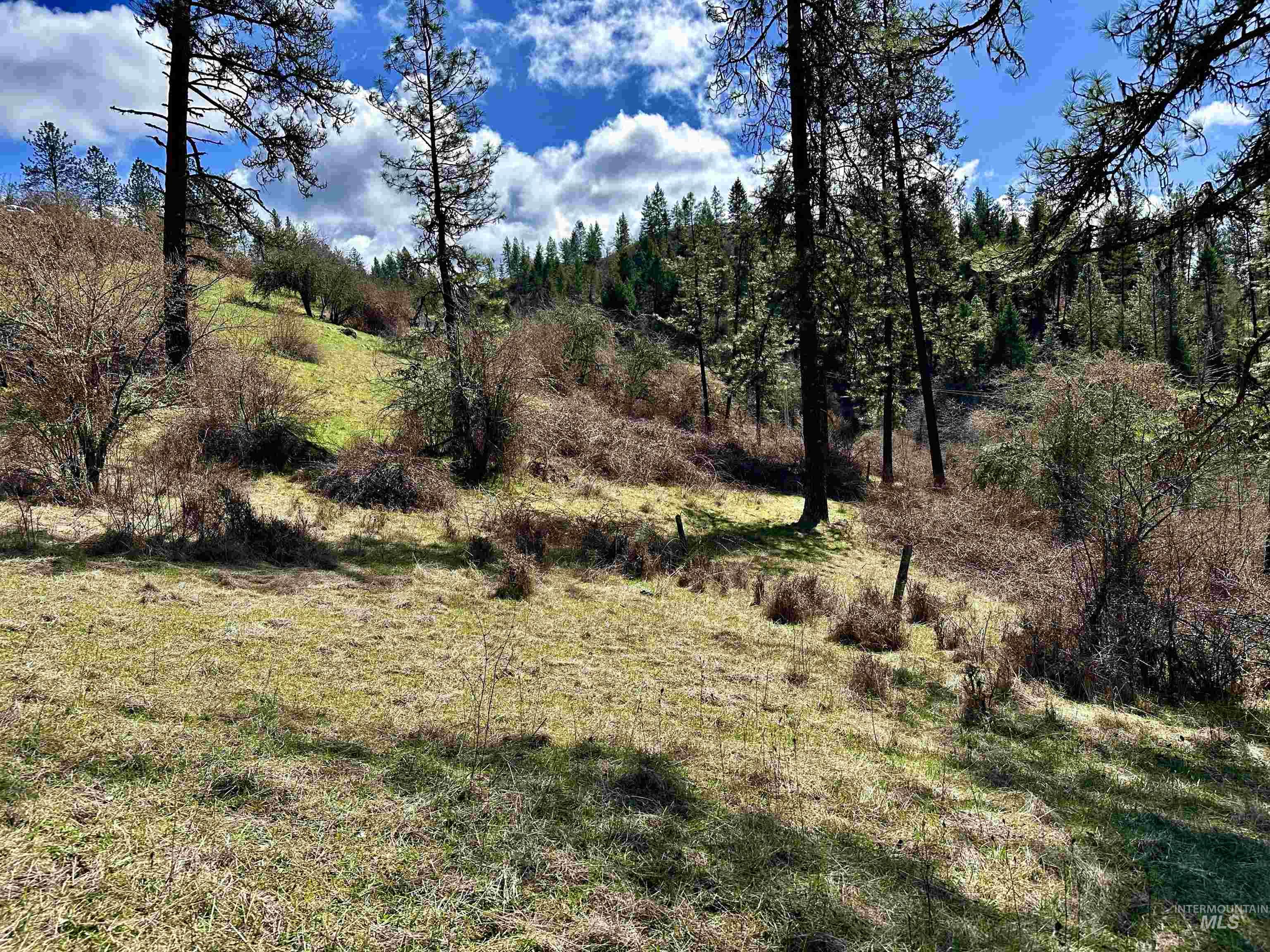 121 Ferguson Road, Harpster, Idaho 83553, Land For Sale, Price $269,900, 98941762