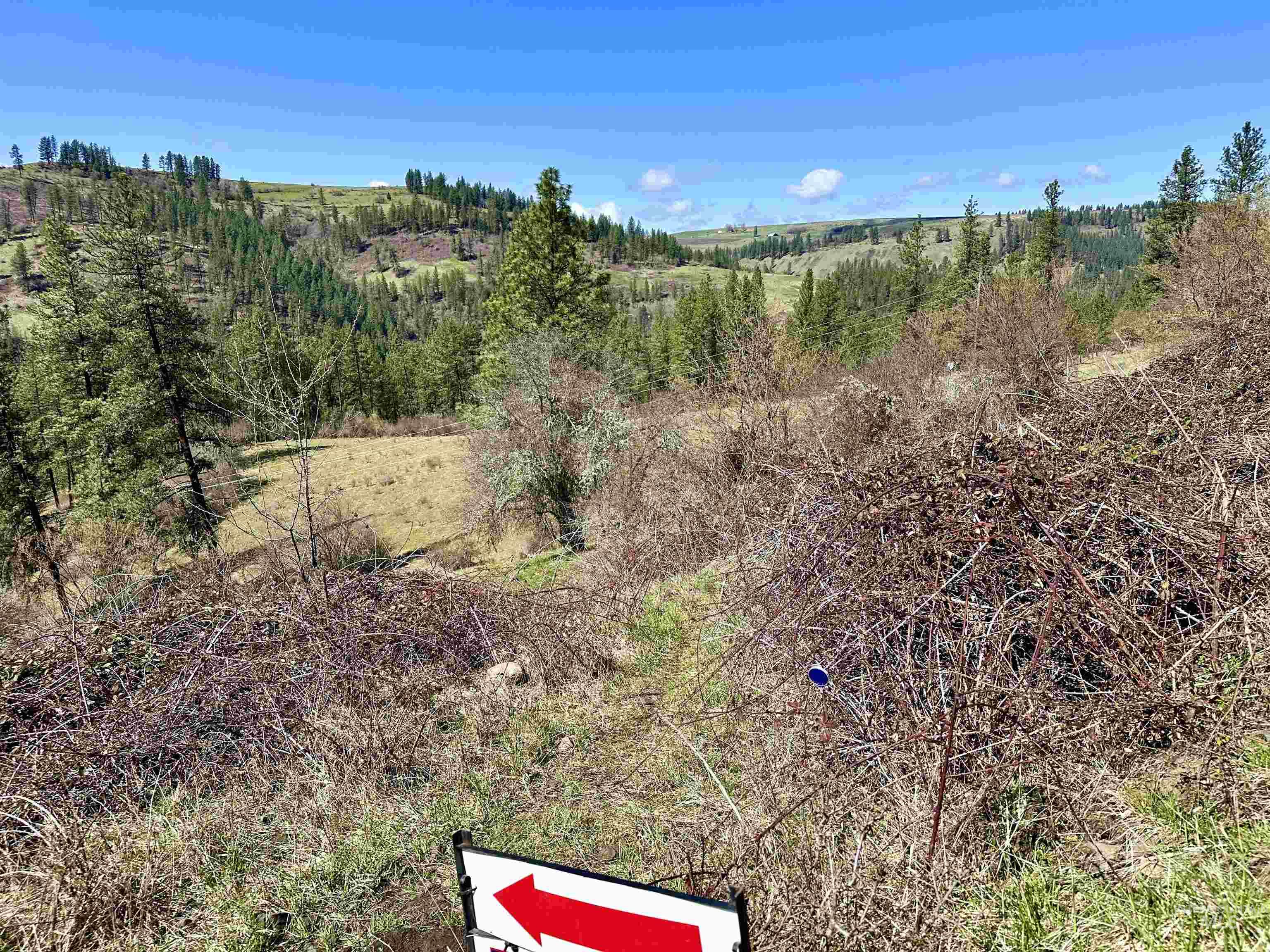 121 Ferguson Road, Harpster, Idaho 83553, Land For Sale, Price $269,900, 98941762