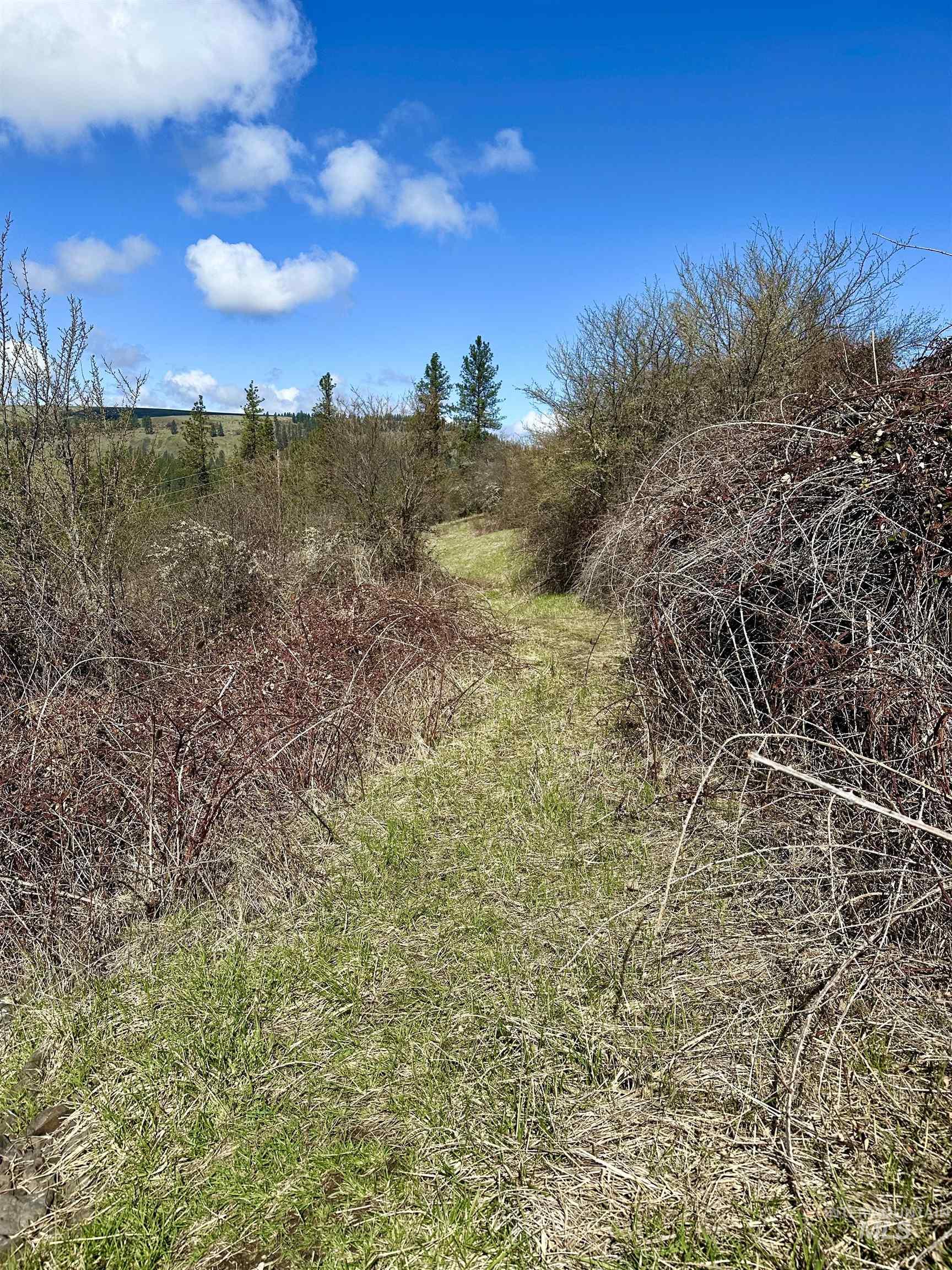 121 Ferguson Road, Harpster, Idaho 83553, Land For Sale, Price $269,900, 98941762