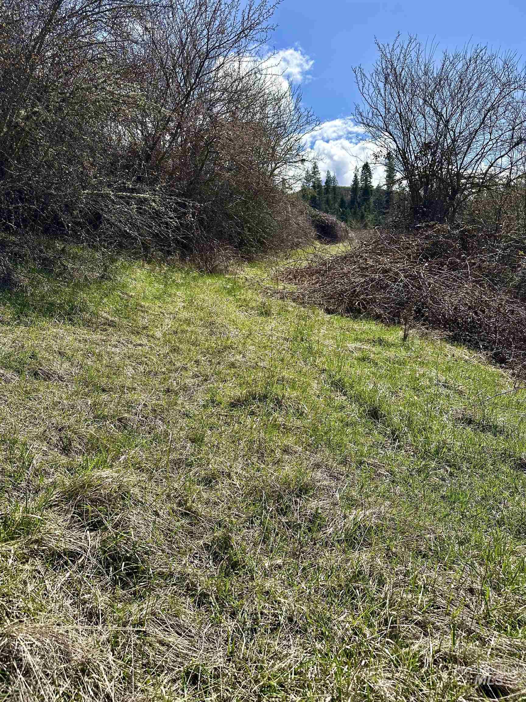 121 Ferguson Road, Harpster, Idaho 83553, Land For Sale, Price $269,900, 98941762