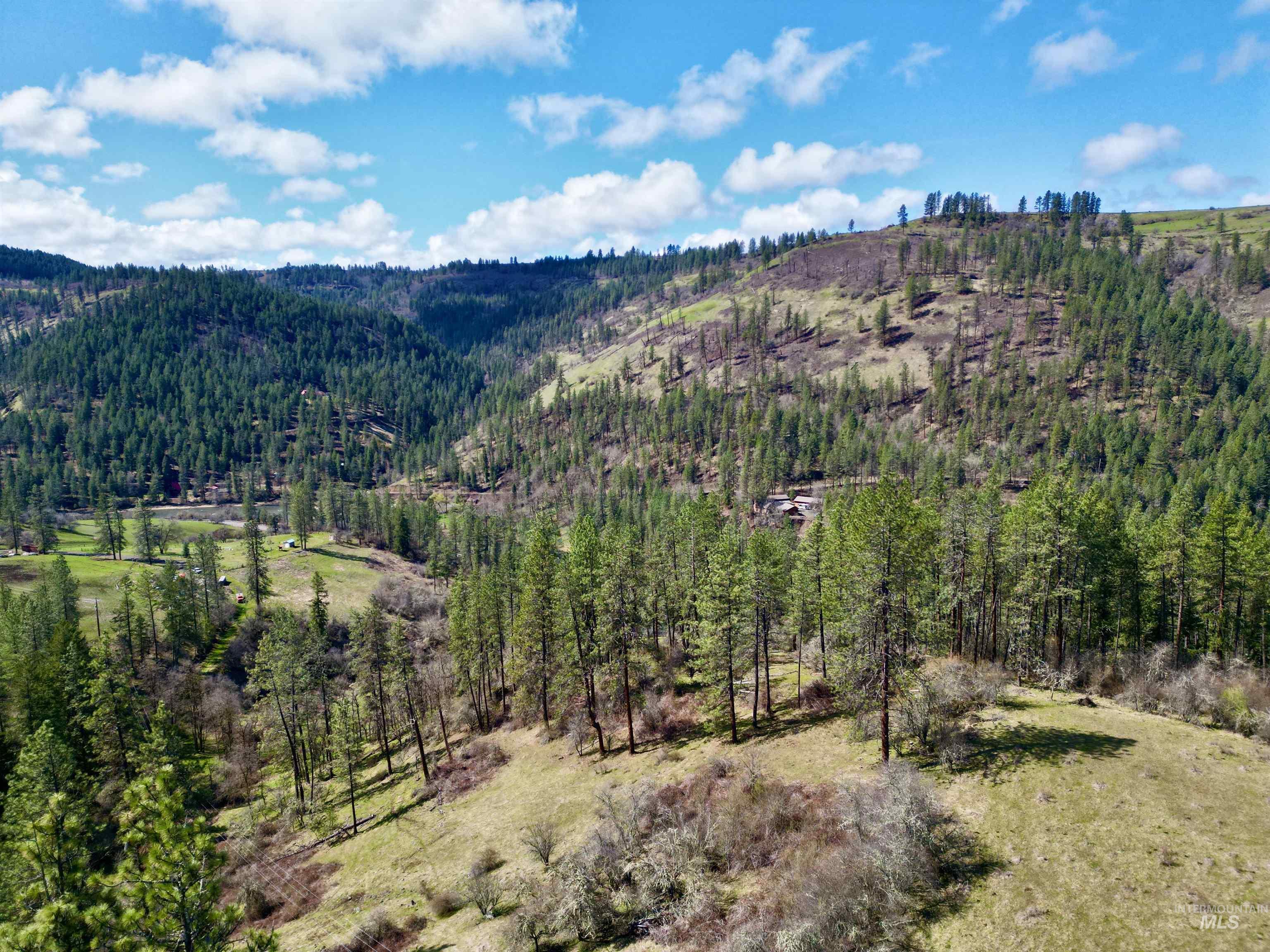 121 Ferguson Road, Harpster, Idaho 83553, Land For Sale, Price $269,900, 98941762