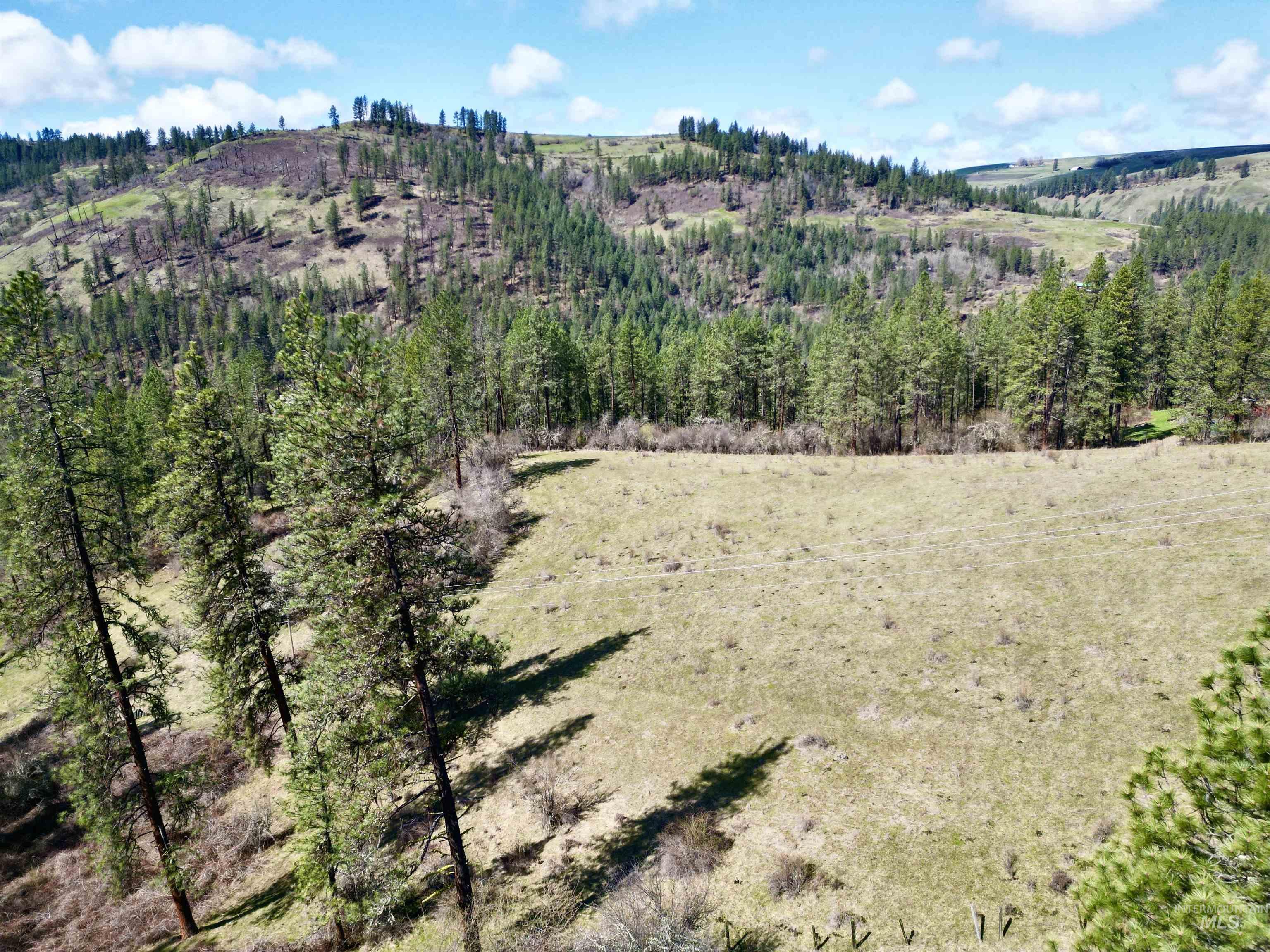 121 Ferguson Road, Harpster, Idaho 83553, Land For Sale, Price $269,900, 98941762