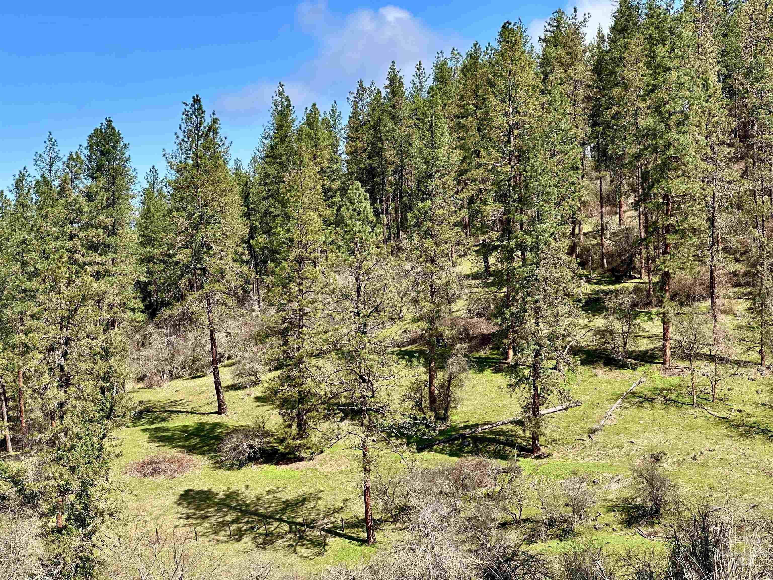 121 Ferguson Road, Harpster, Idaho 83553, Land For Sale, Price $269,900, 98941762