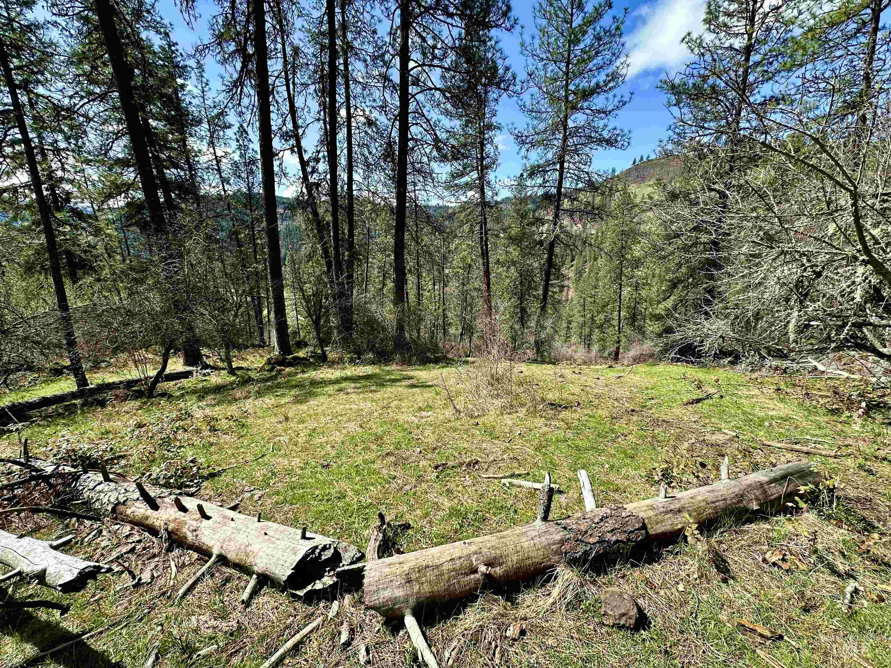 121 Ferguson Road, Harpster, Idaho 83553, Land For Sale, Price $269,900, 98941762