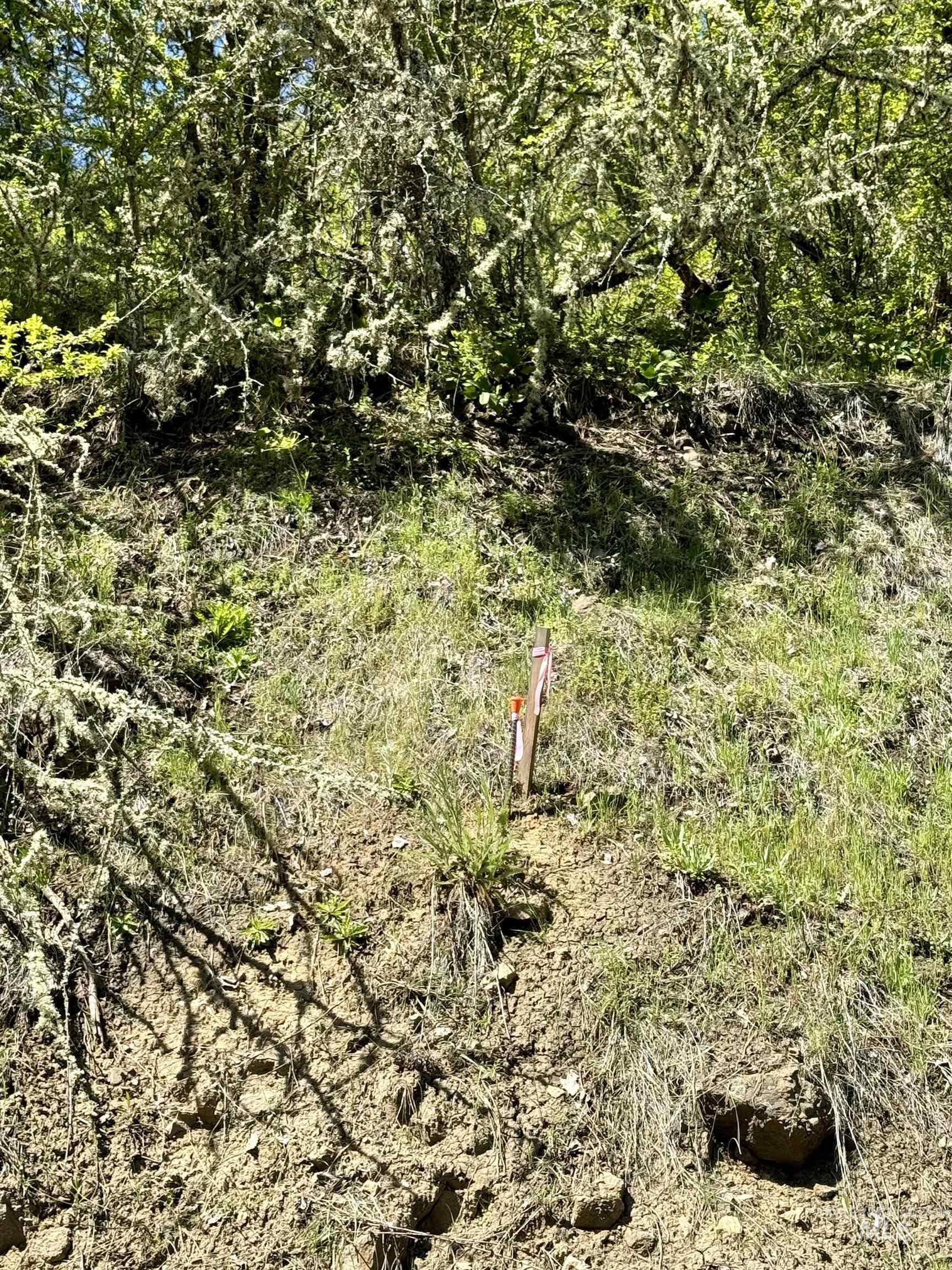 TBD (7AC) Lukes Gulch Rd, Stites, Idaho 83552, Land For Sale, Price $74,000,MLS 98942483